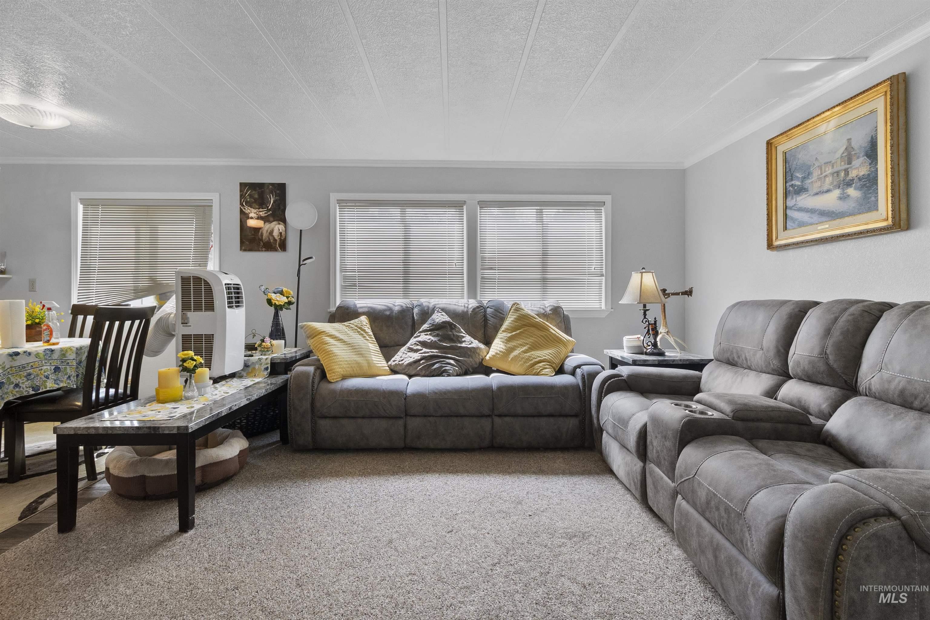 Living room featuring a textured ceiling, carpet, and crown molding