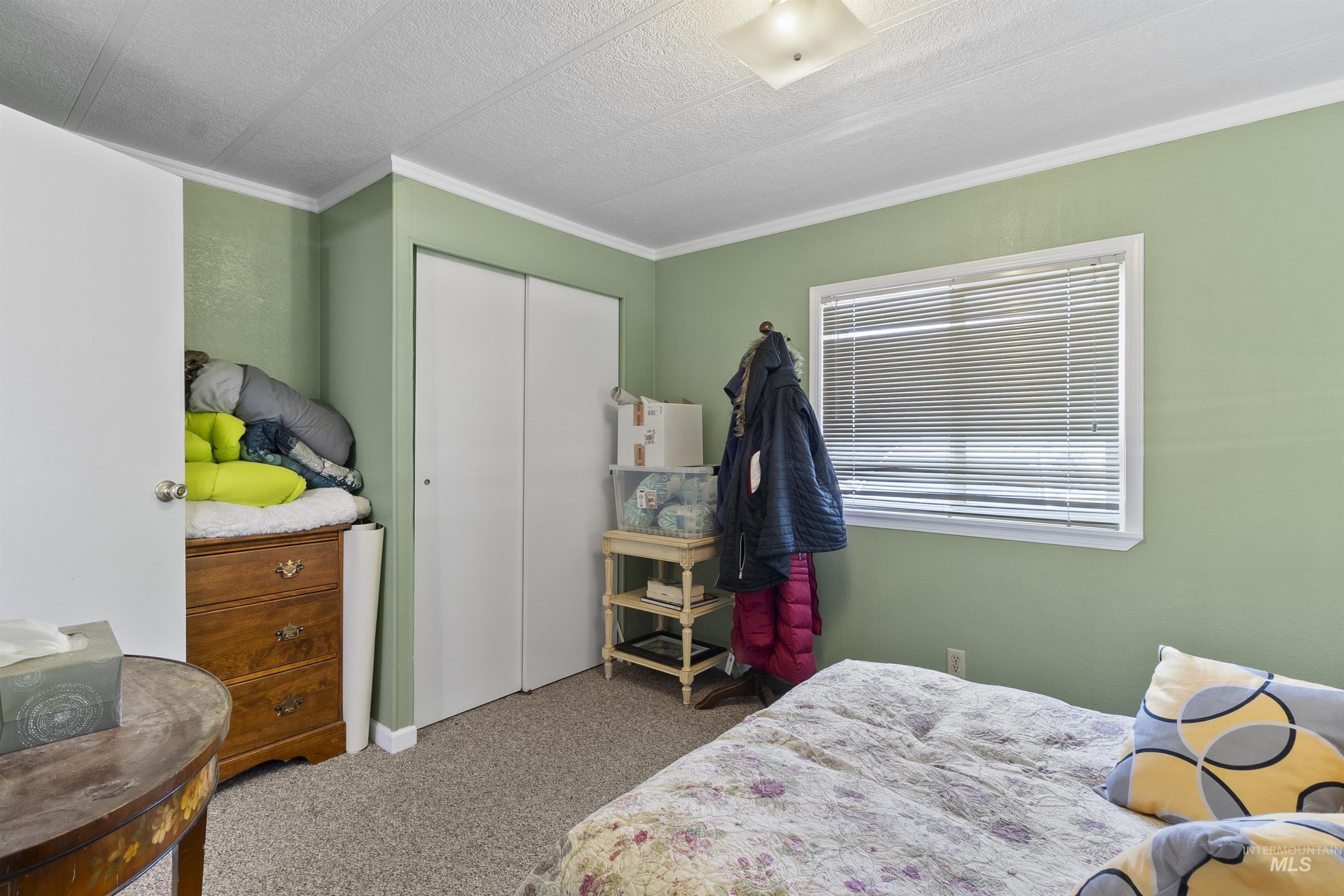 Carpeted bedroom featuring crown molding, a closet, and a textured ceiling