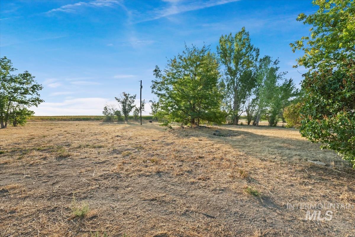 View of yard with a rural view