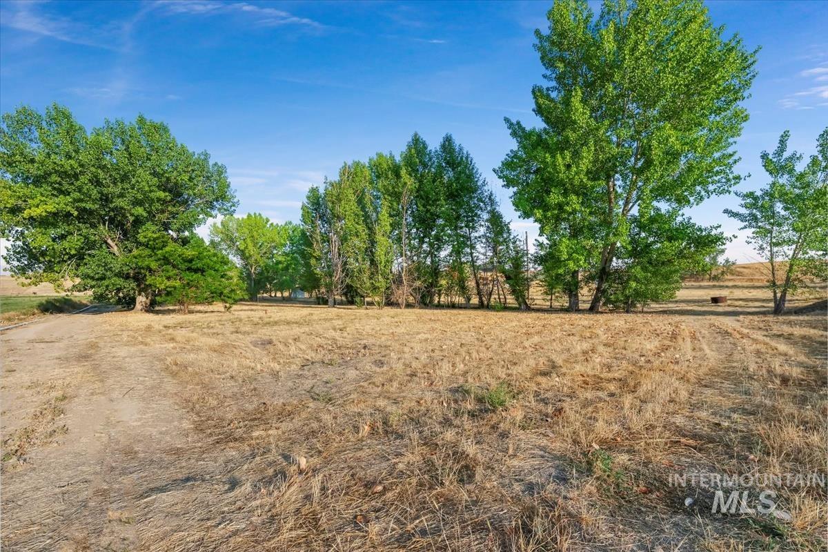 View of yard with a rural view