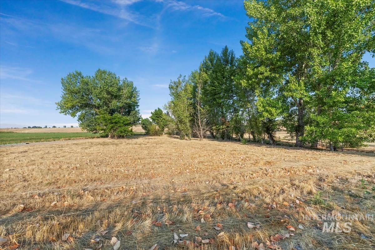 View of yard featuring a view of rural / pastoral area