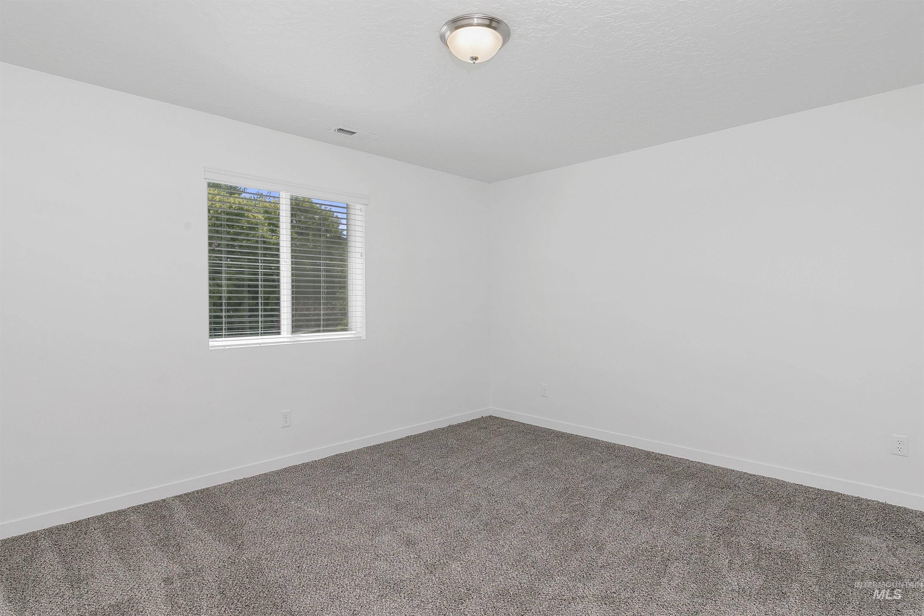 Carpeted empty room with baseboards