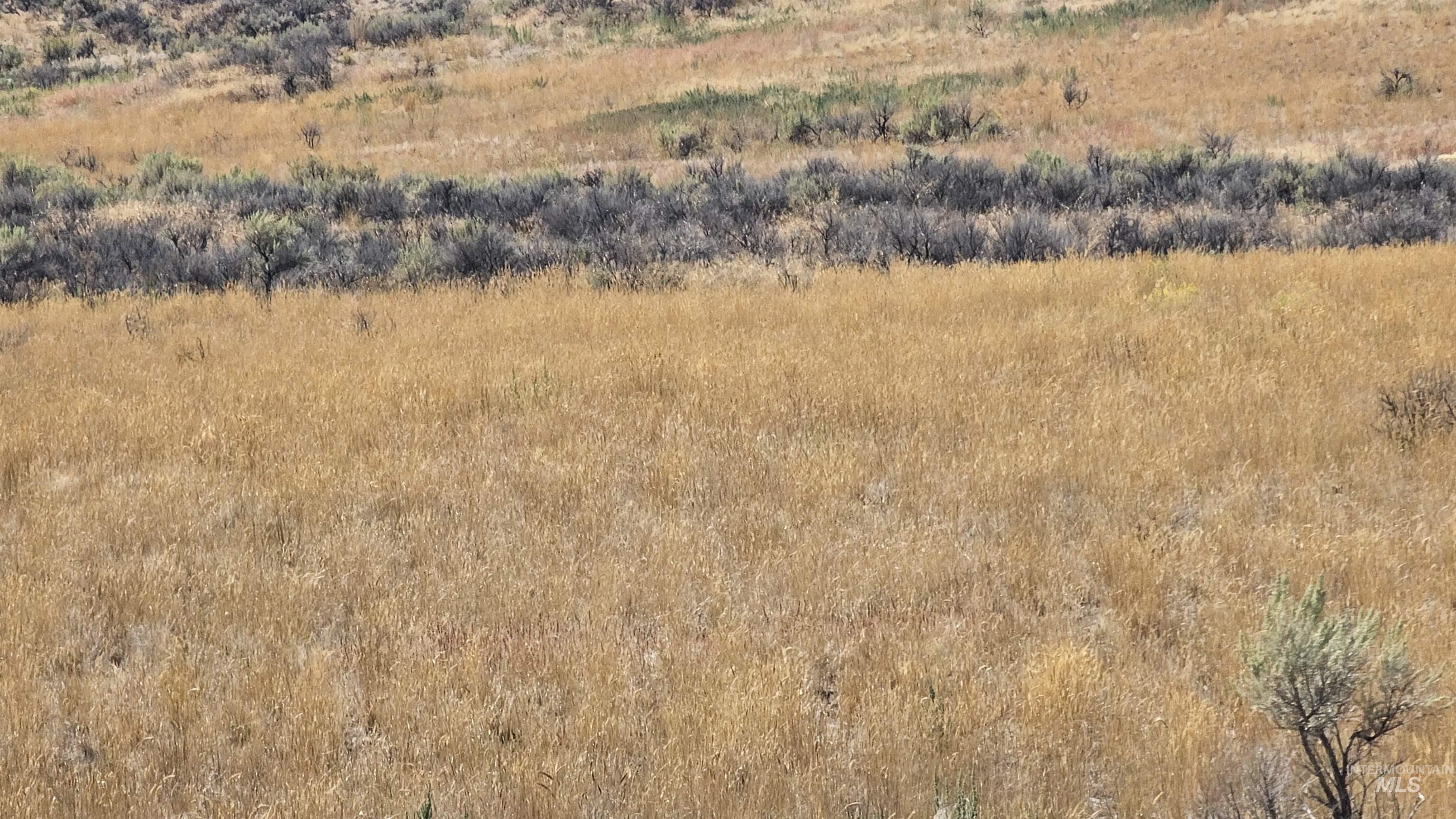 Approx. 1650 S 3100 W, Aberdeen, Idaho 83210, Land For Sale, Price $240,000, 98960347