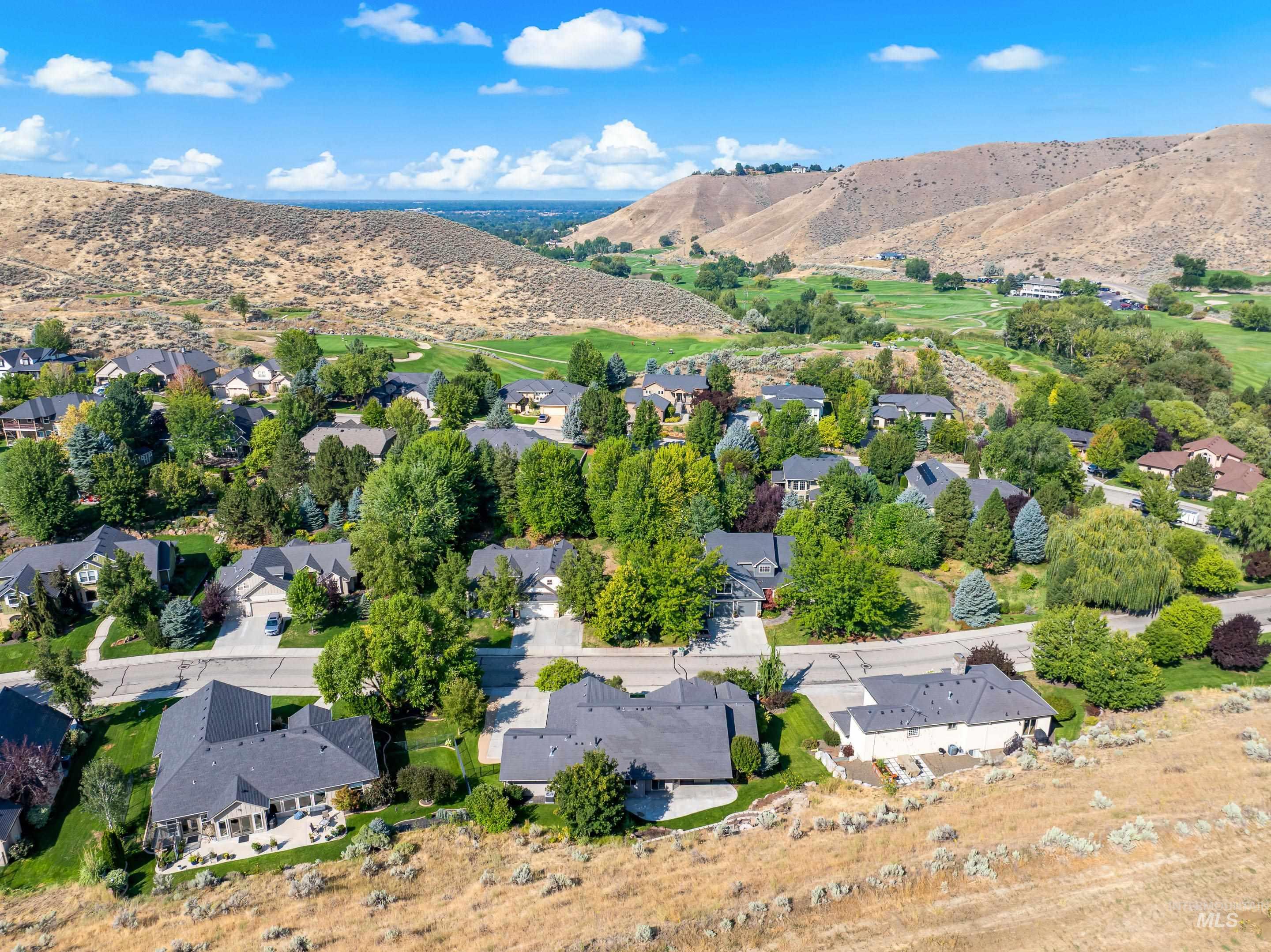 Aerial perspective of suburban area featuring a mountain backdrop