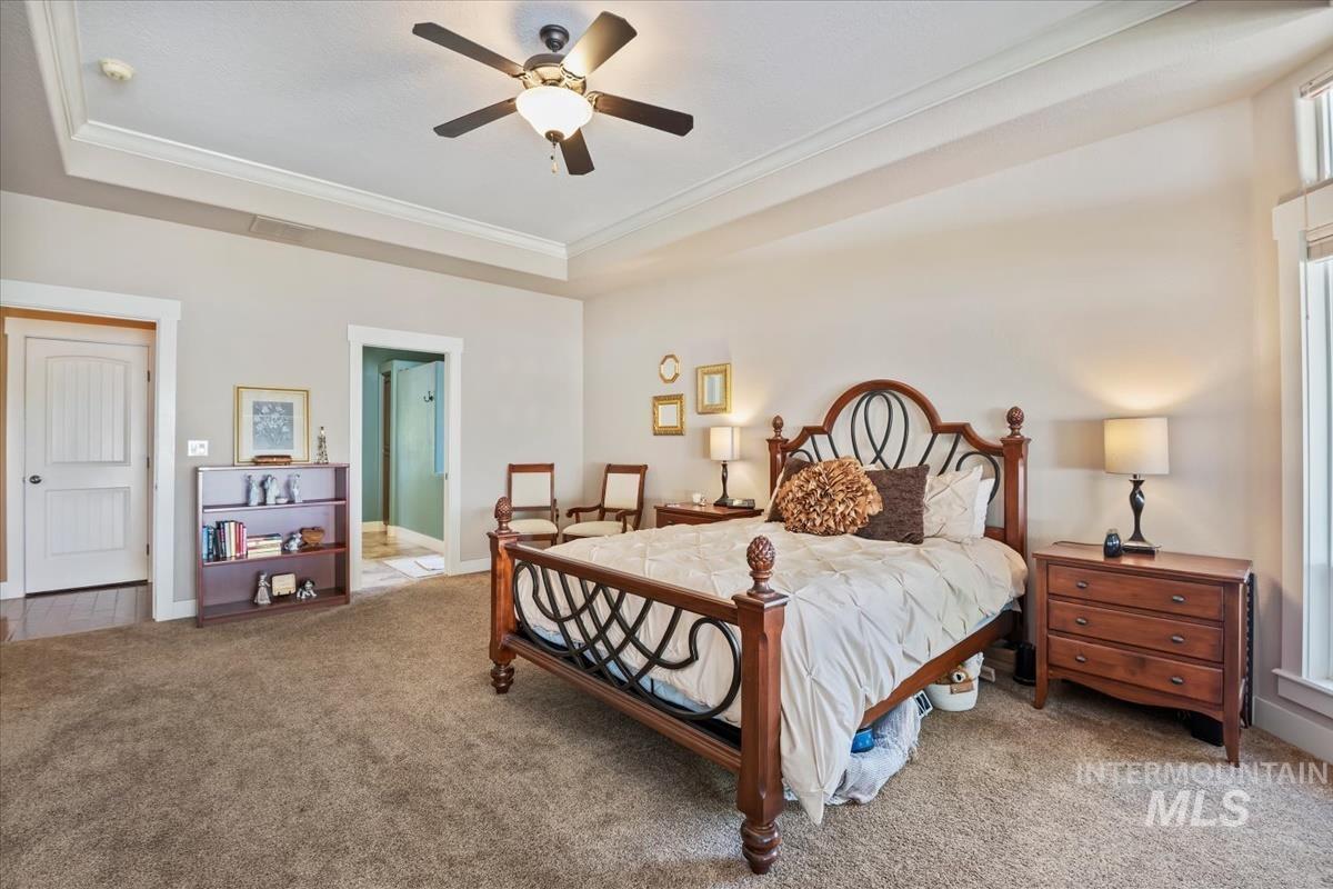 Carpeted bedroom with a raised ceiling, a ceiling fan, and crown molding