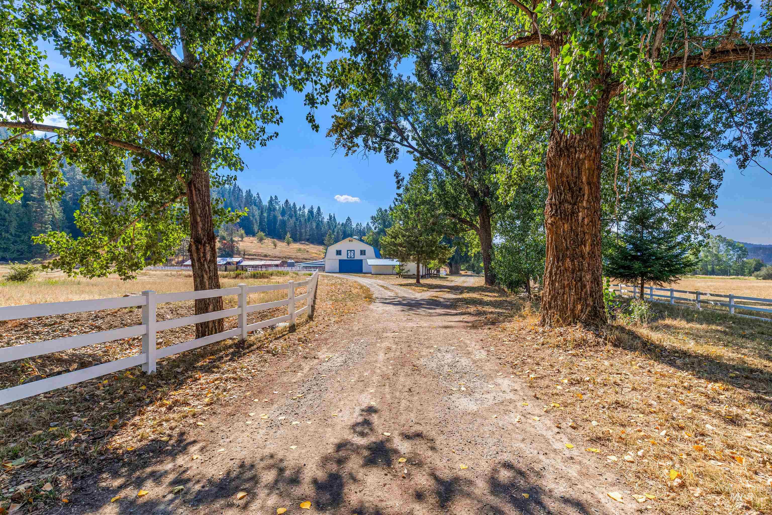 View of dirt / gravel road with a rural view