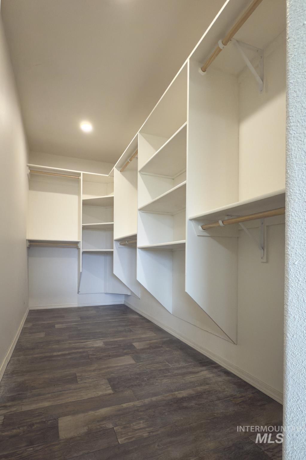 Spacious closet featuring dark wood finished floors