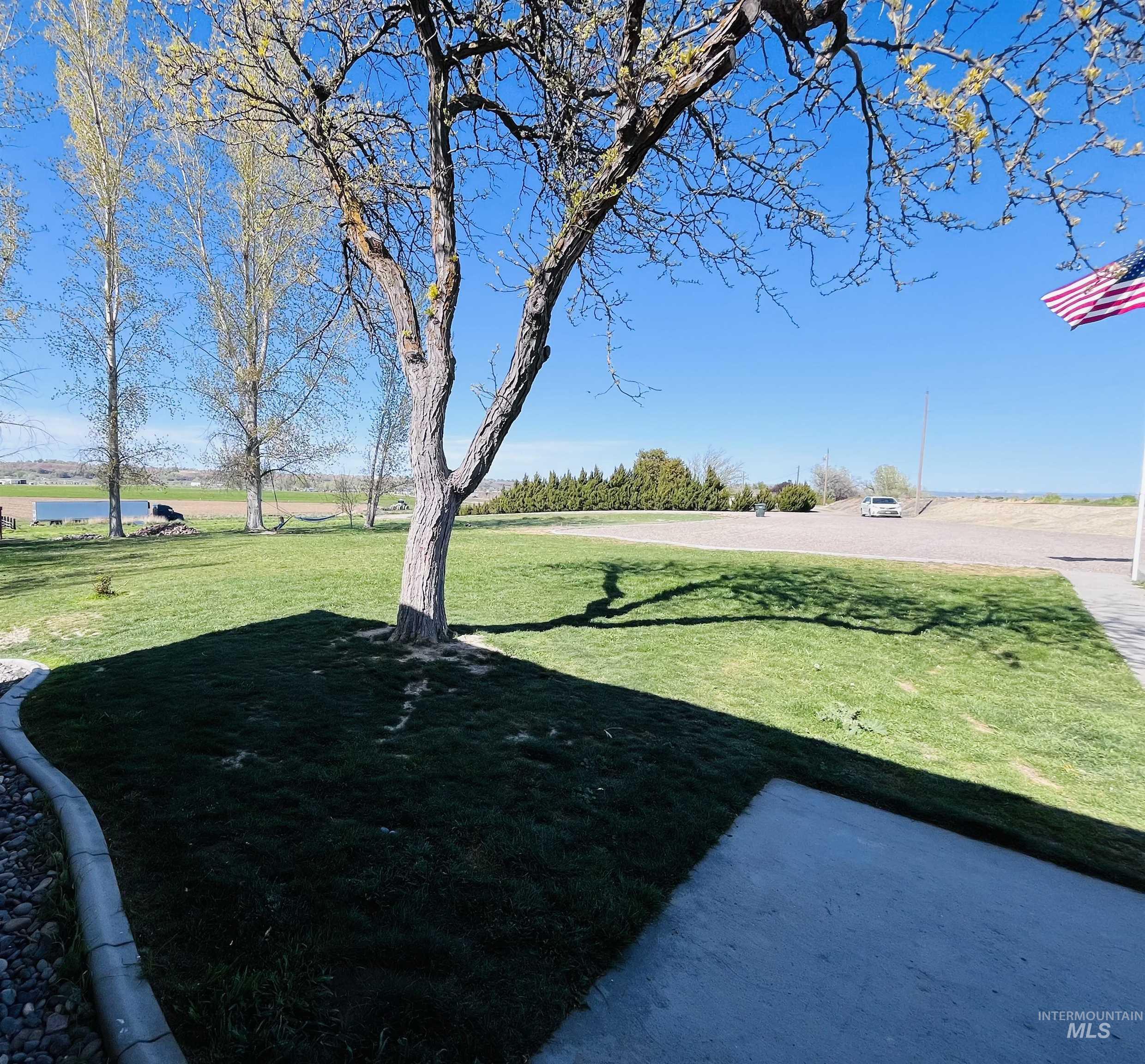 View of grassy yard