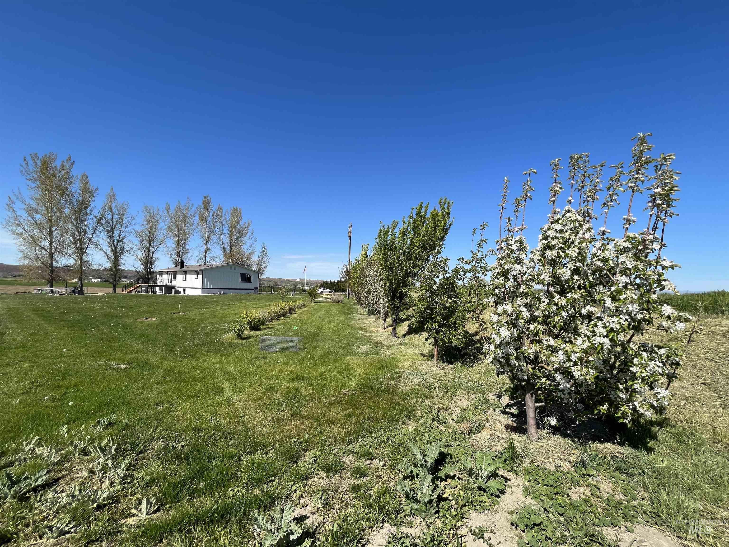 View of green lawn featuring a view of rural / pastoral area