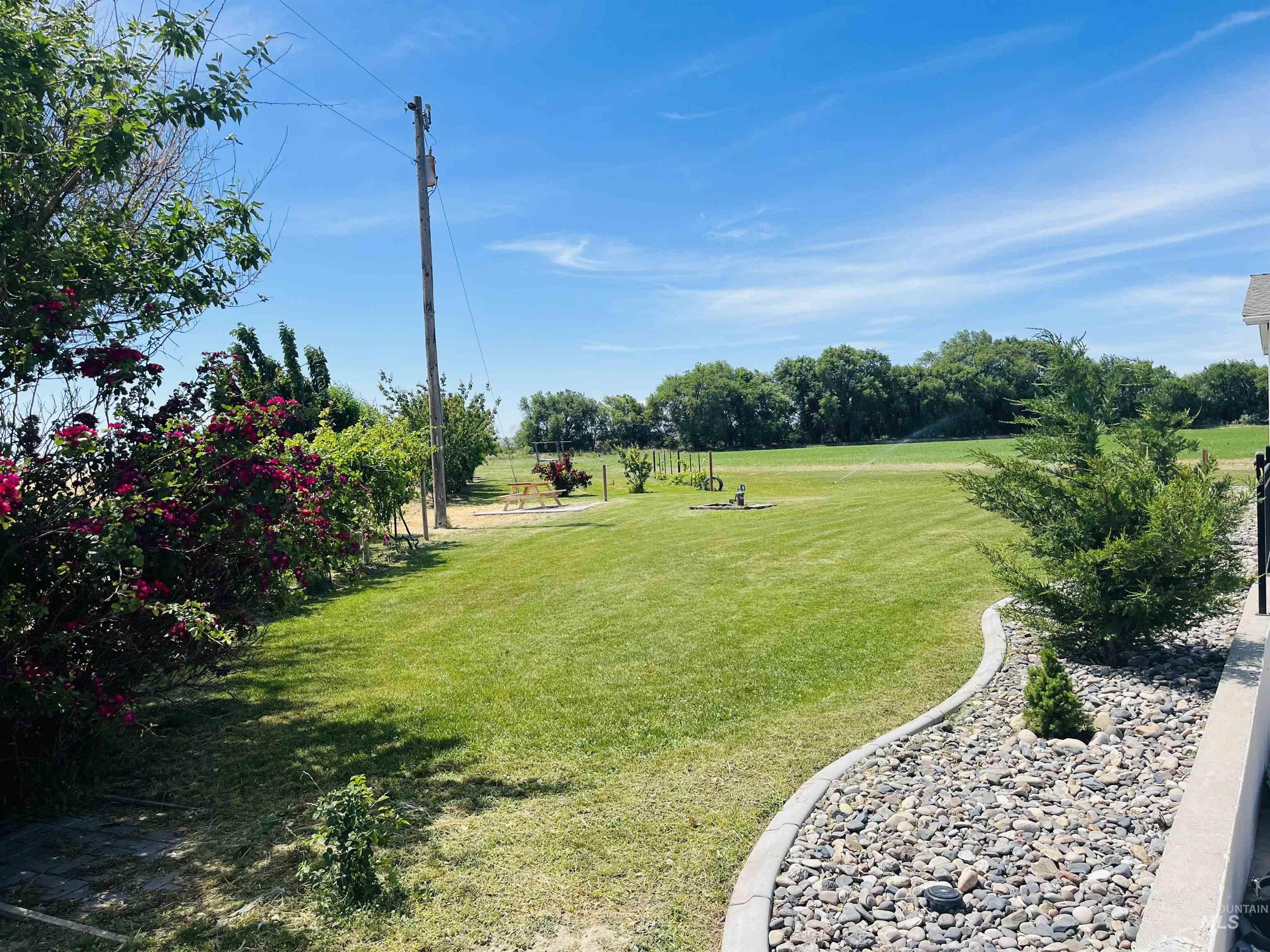 View of grassy yard