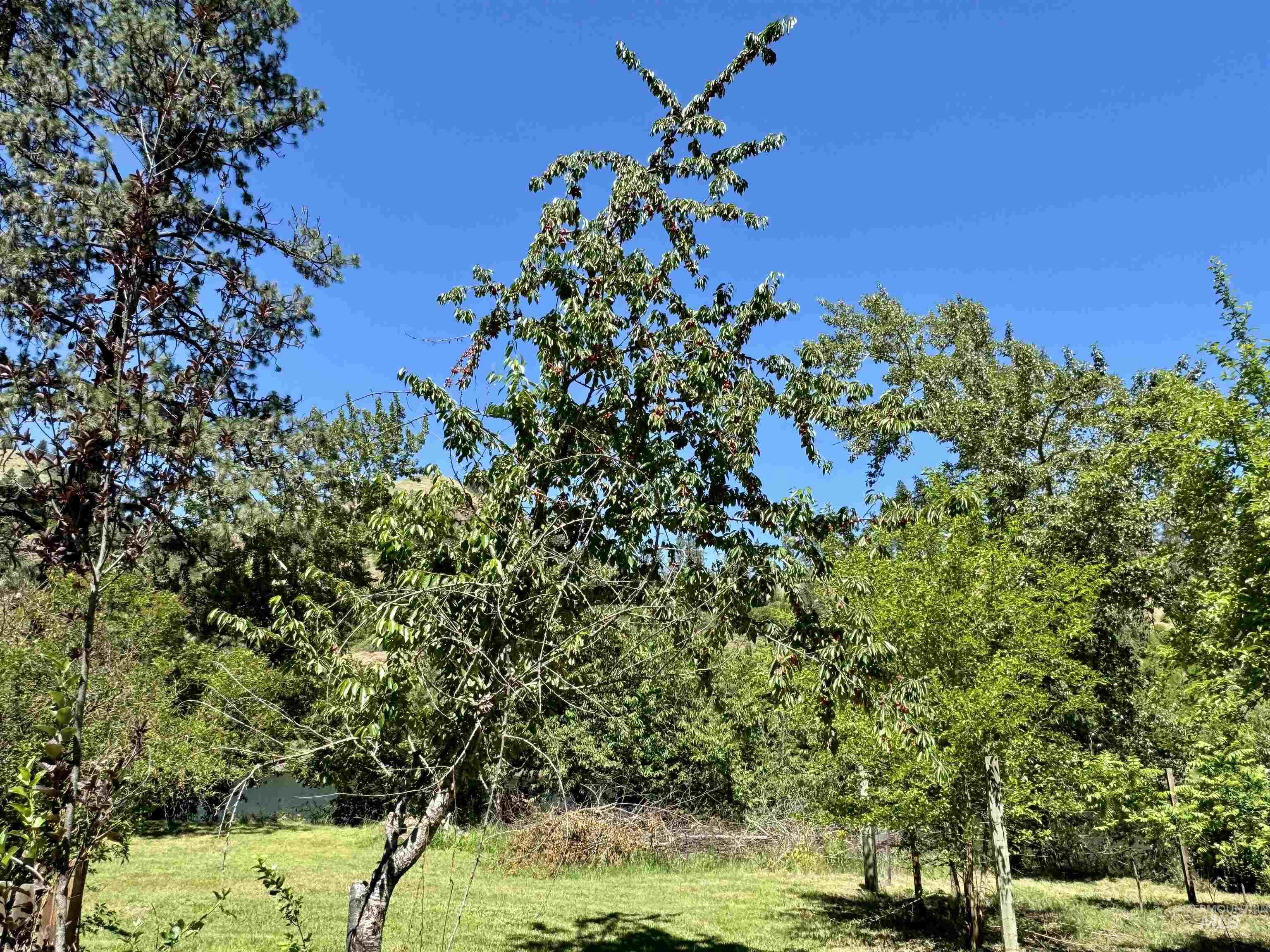 TBD Highway 12 (0.22AC), Kamiah, Idaho 83533, Land For Sale, Price $109,000, 98960426