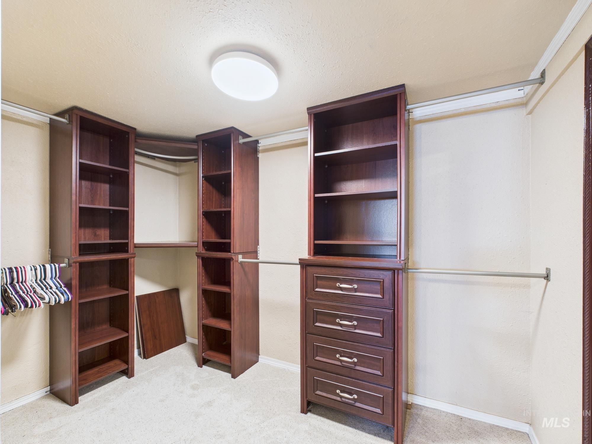 Spacious closet featuring light carpet