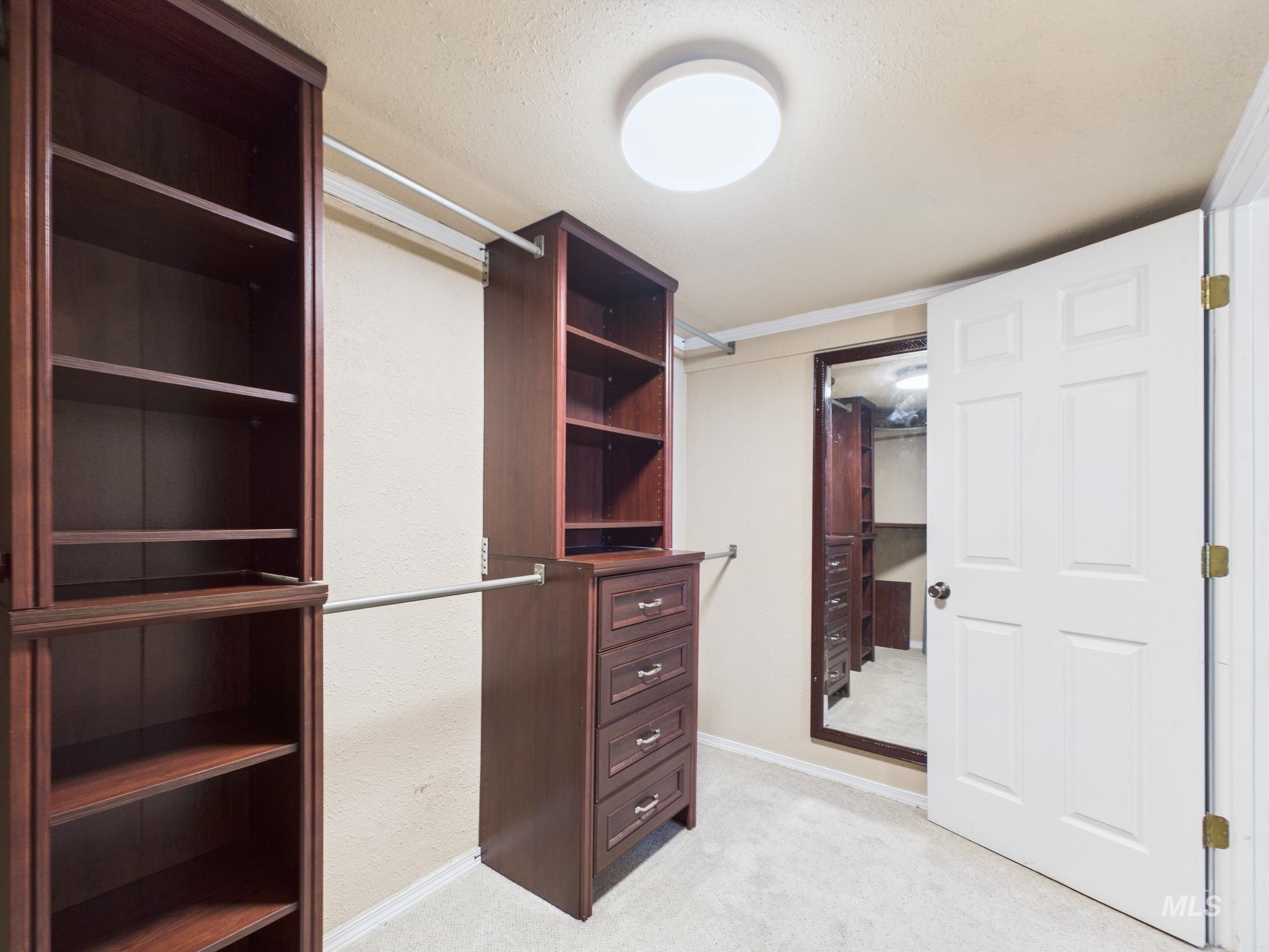 Spacious closet featuring light carpet