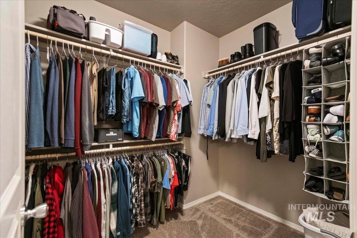 Walk in closet featuring light carpet