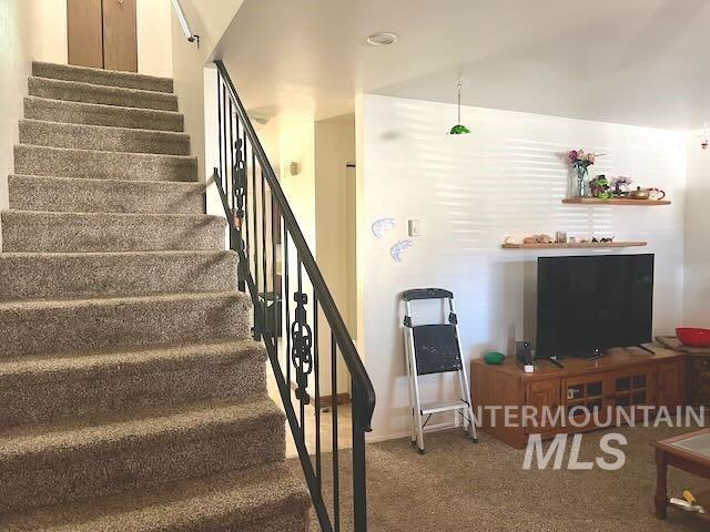 Stairs featuring carpet floors