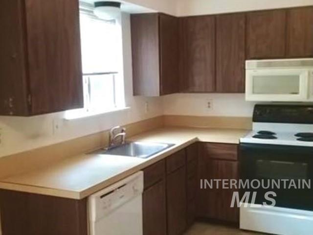 Kitchen with white appliances, light countertops, and dark brown cabinetry