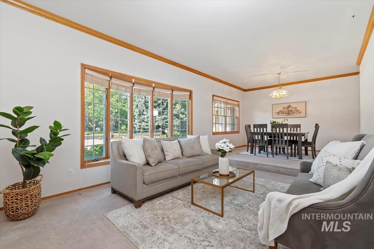 Living room with ornamental molding, healthy amount of natural light, and carpet floors