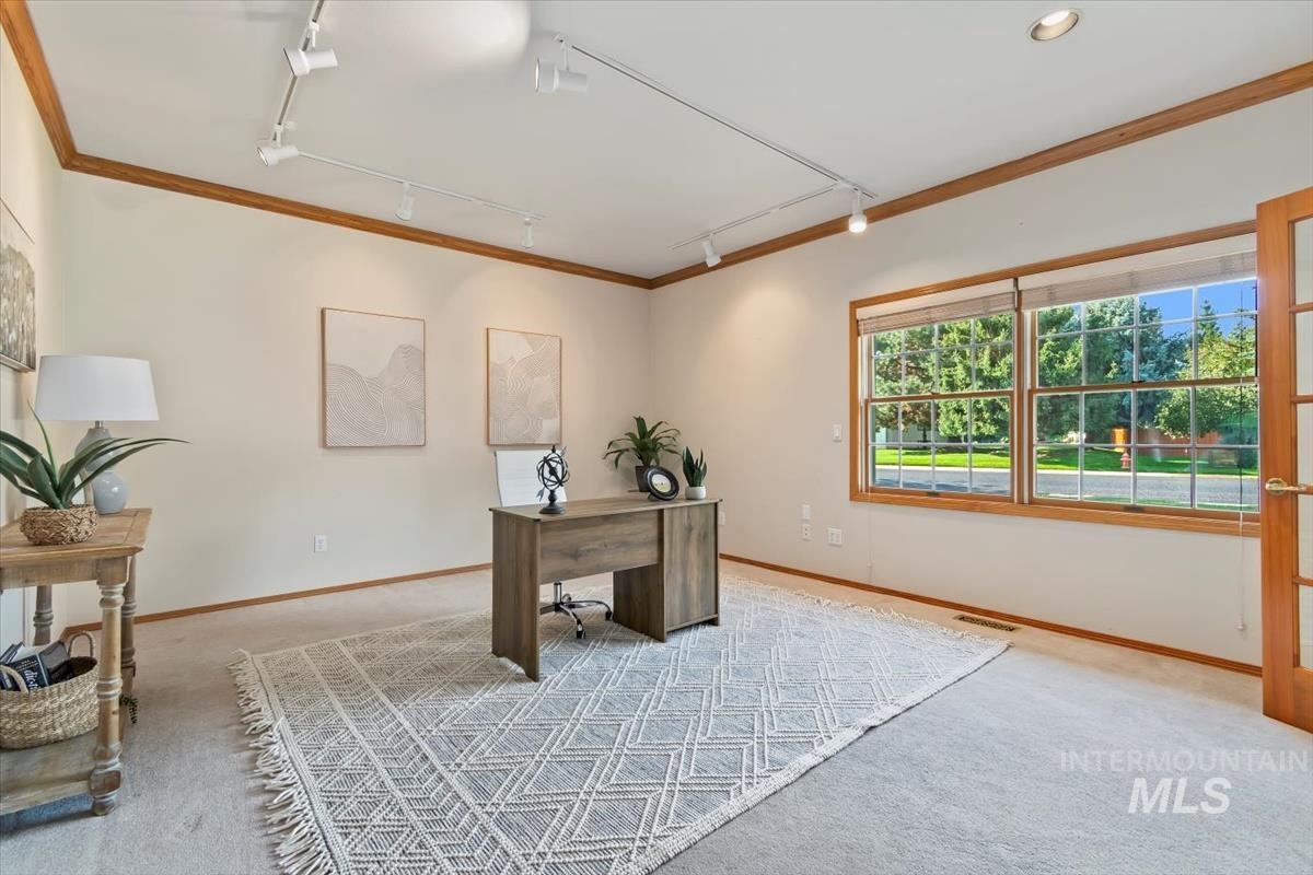 Office space featuring rail lighting, crown molding, and carpet