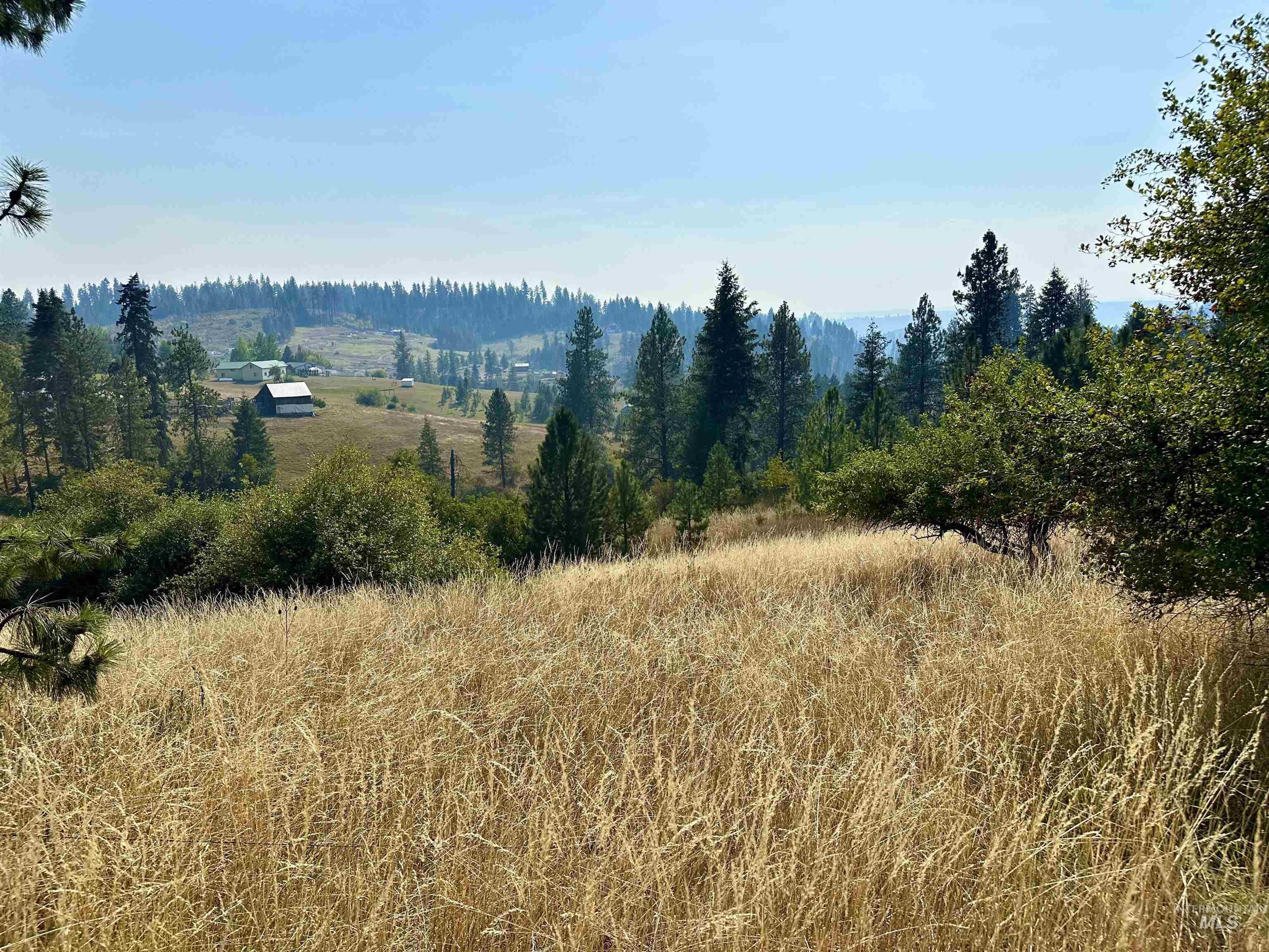 View of wooded area with a view of rural / pastoral area