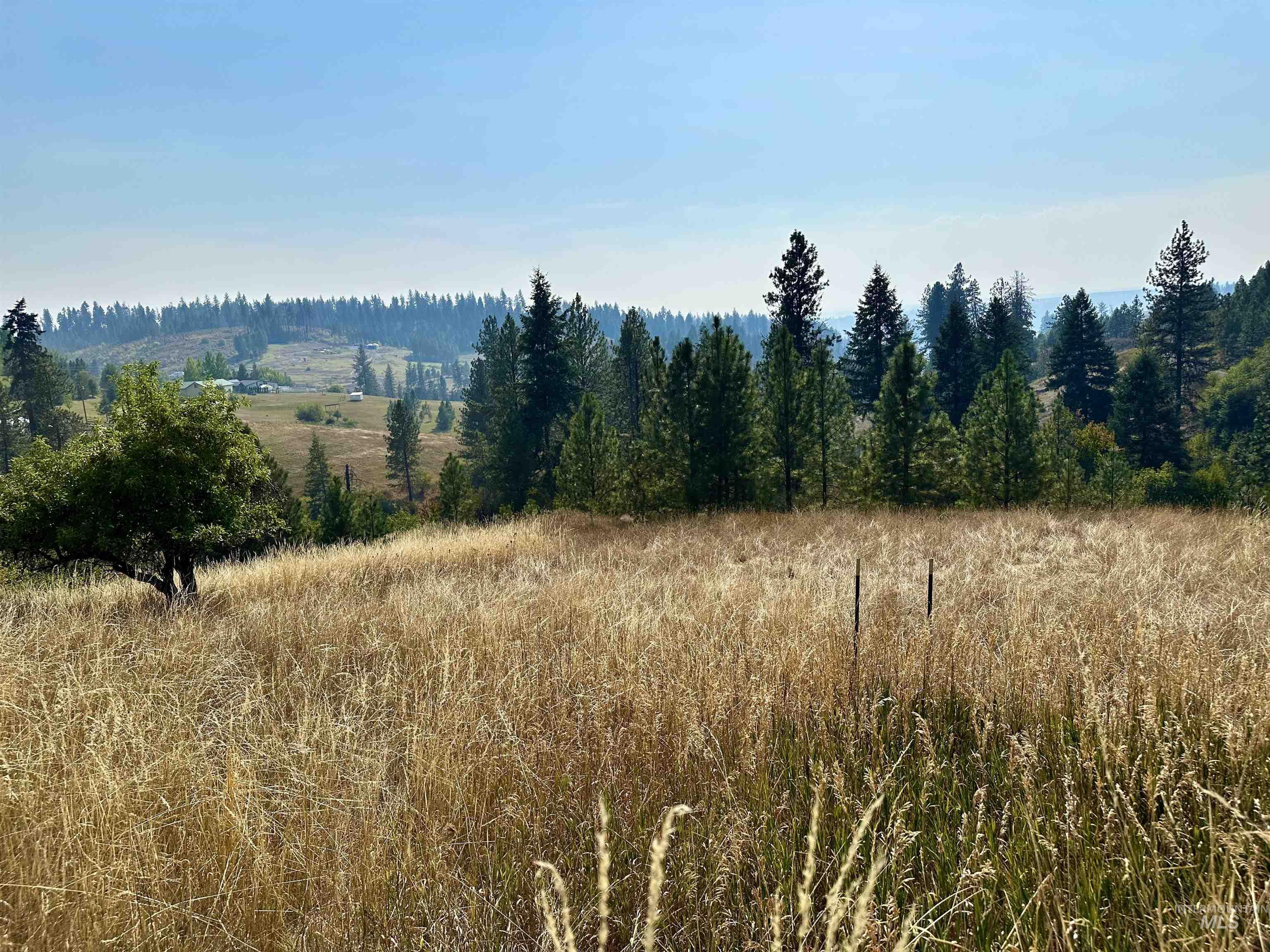 View of wooded area with a view of countryside