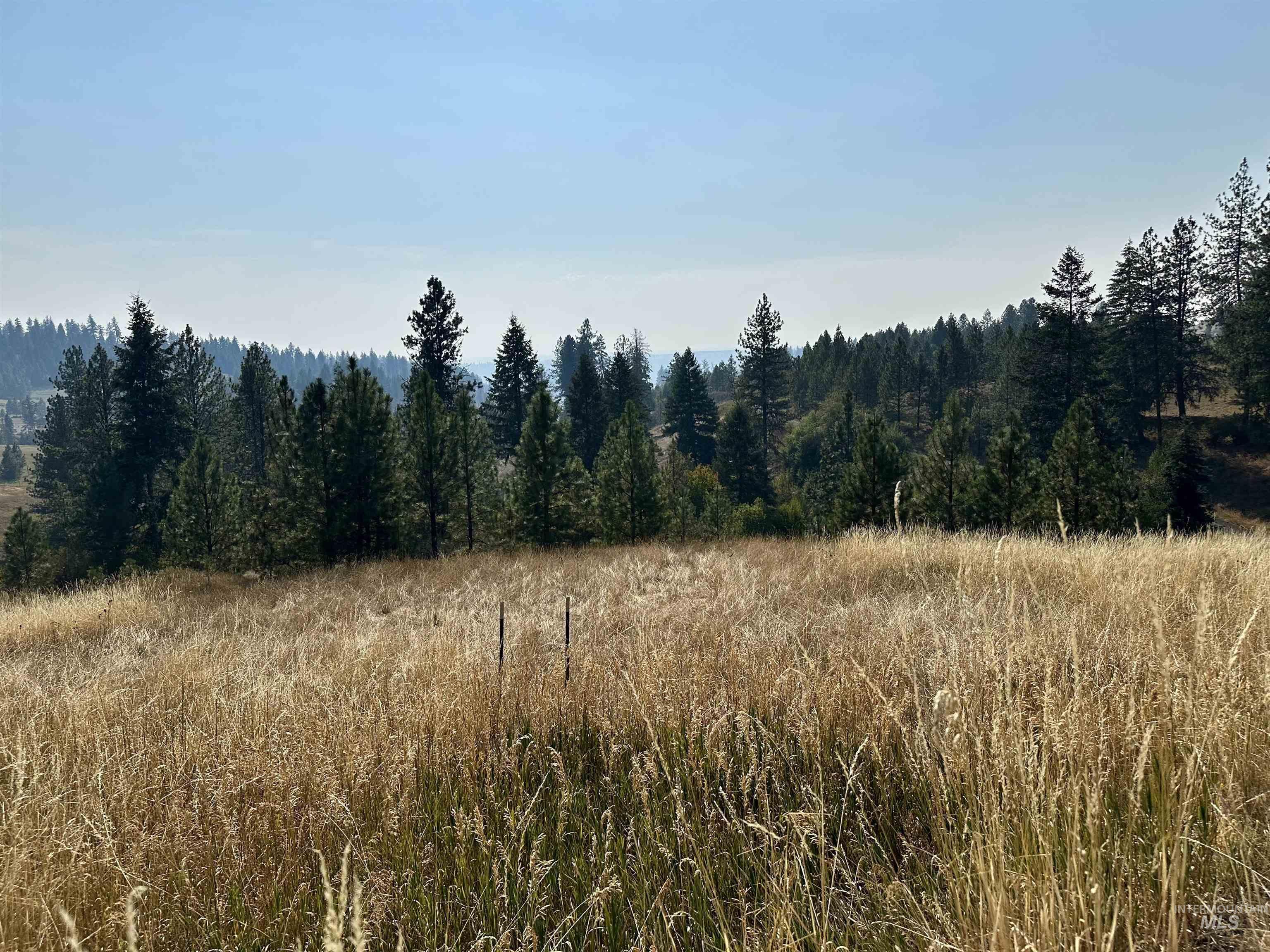 View of woods with a view of rural / pastoral area