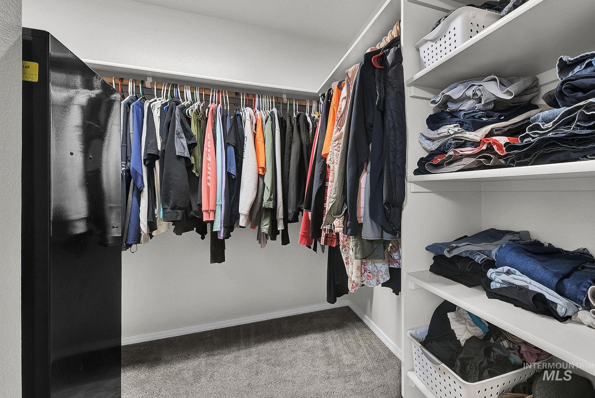 Walk in closet with light colored carpet