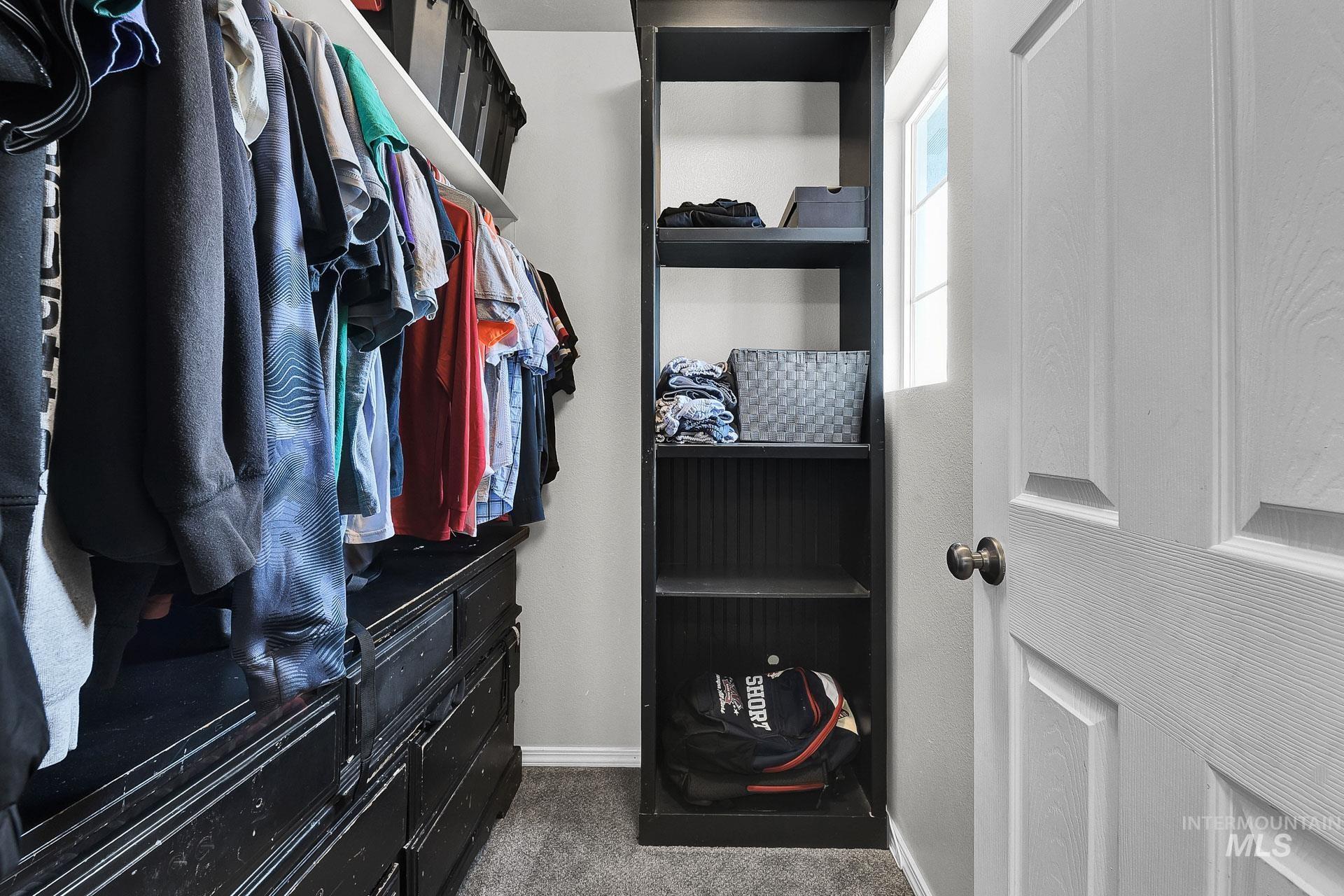 Spacious closet with dark colored carpet
