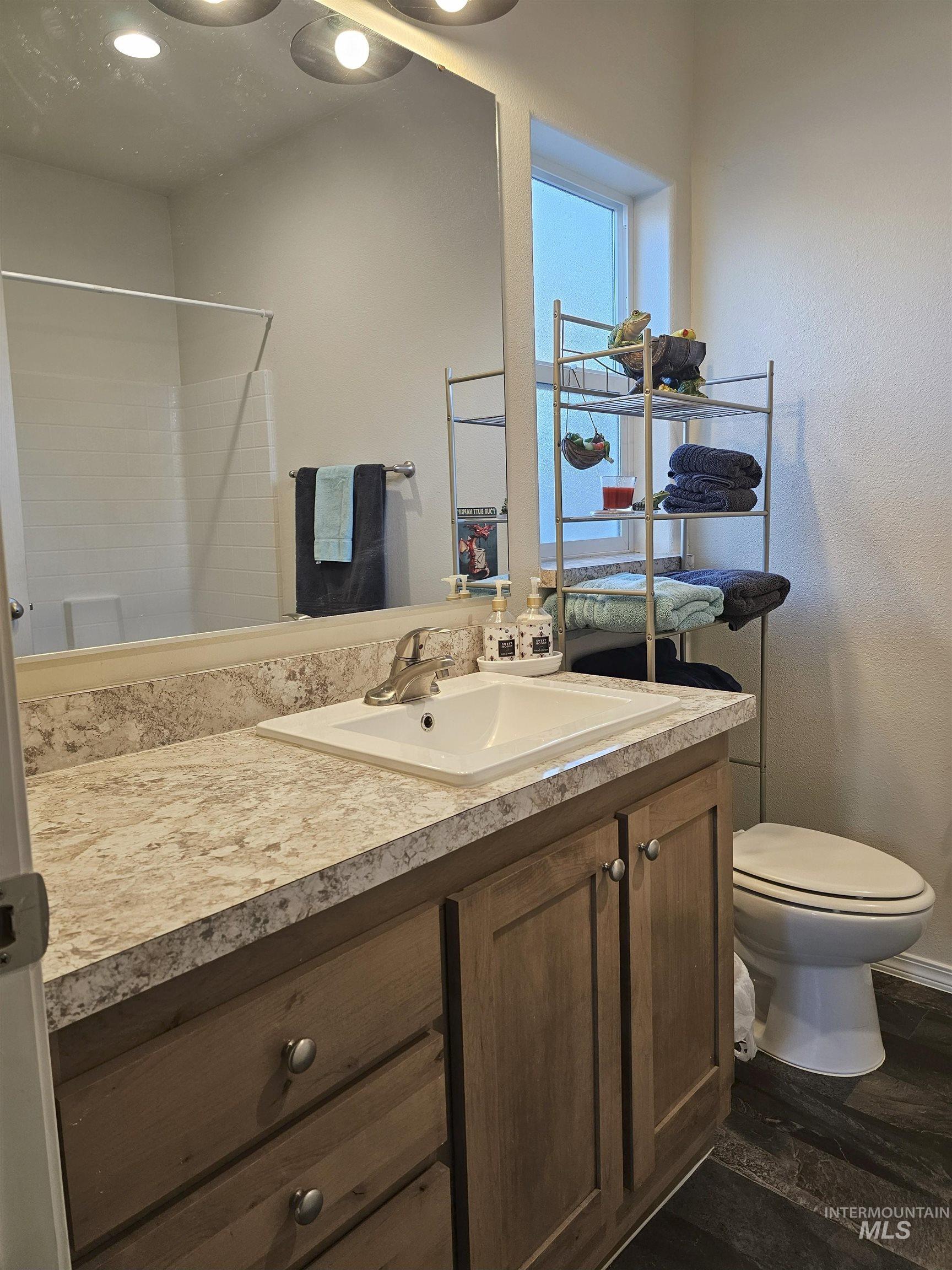 Full bath featuring vanity and dark wood-type flooring