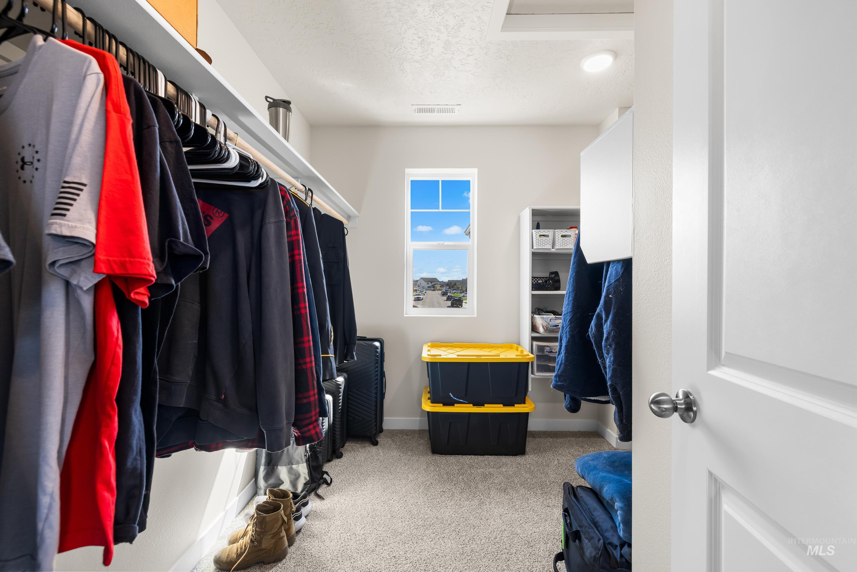 Walk in closet with light colored carpet