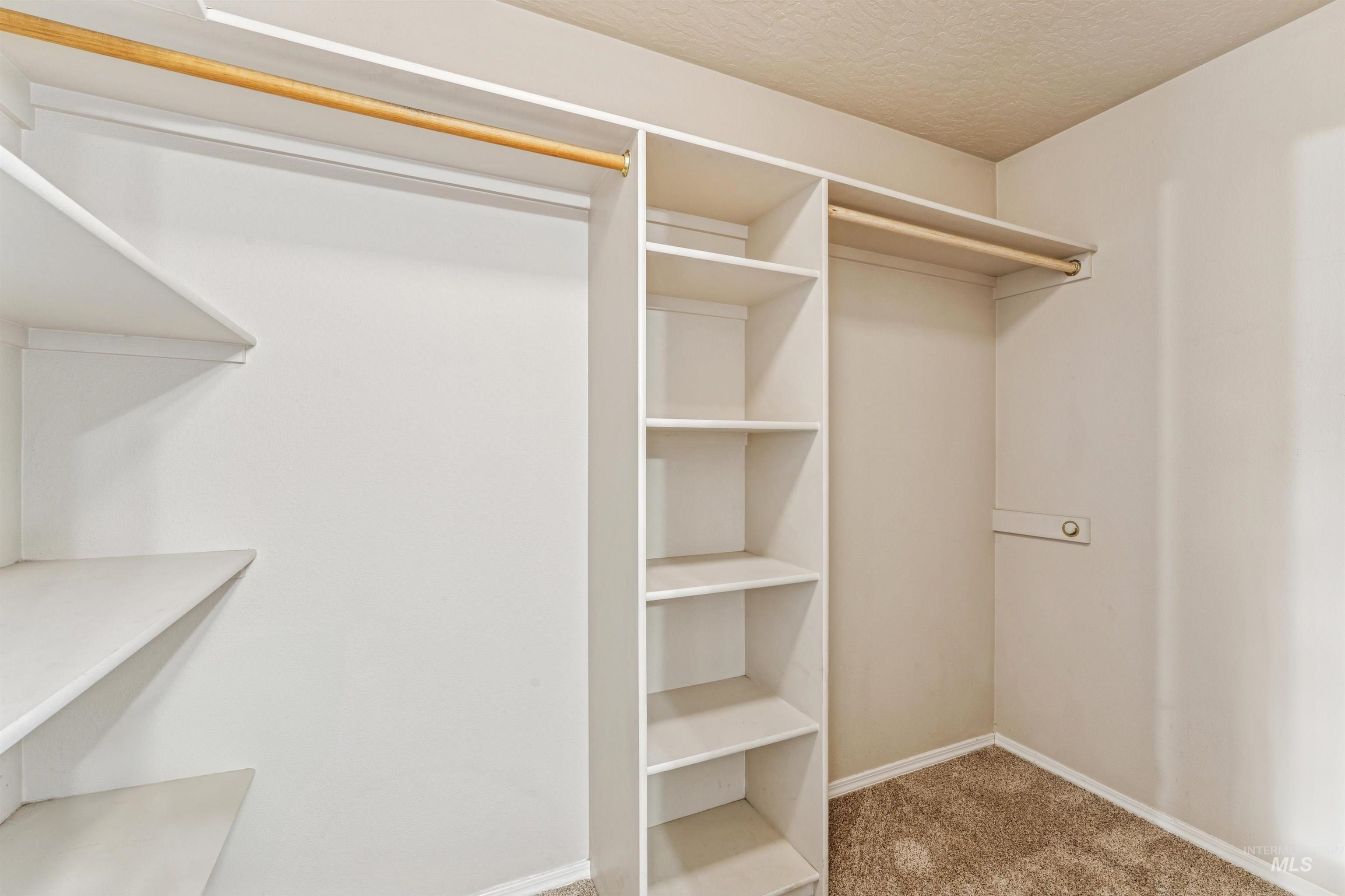 Spacious closet featuring light carpet