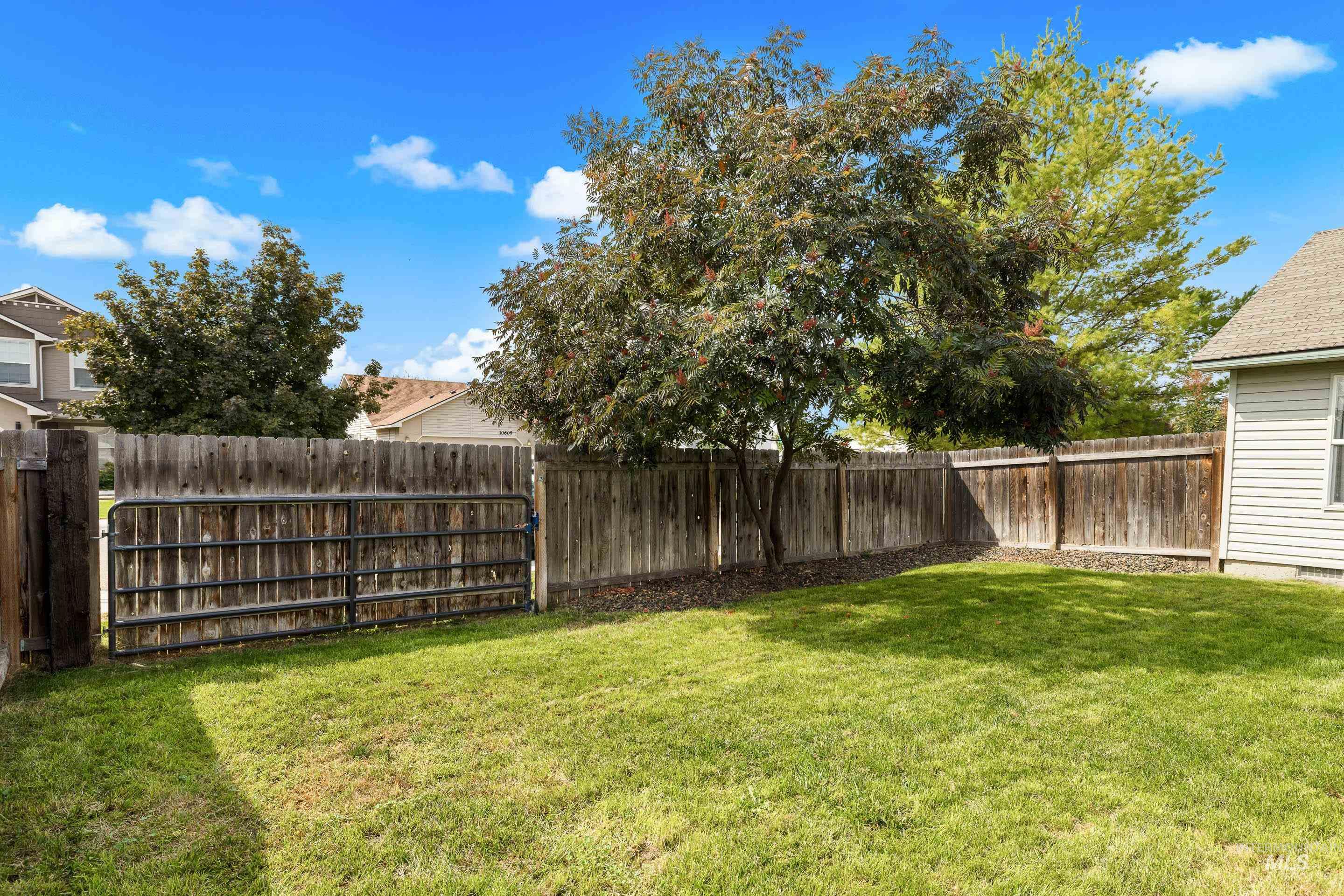 View of fenced backyard