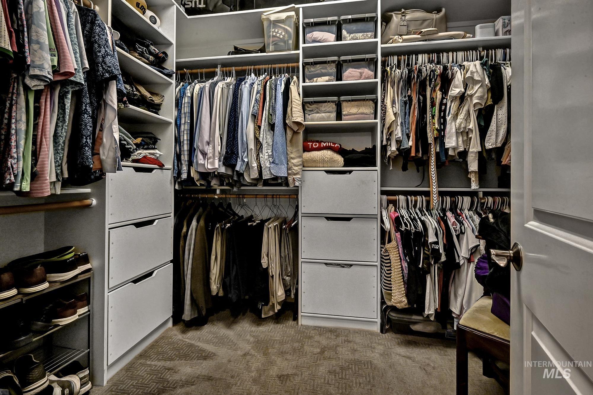 Walk in closet featuring carpet floors