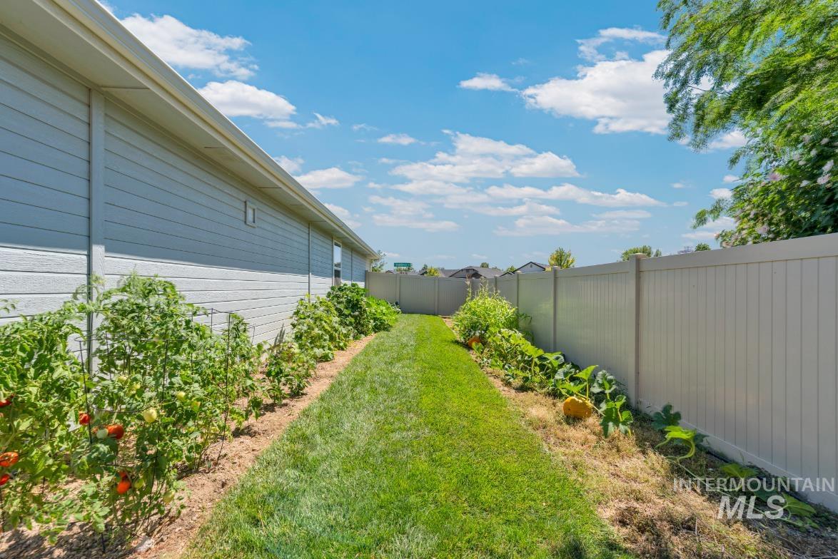 Side yard with nice vegetable garden