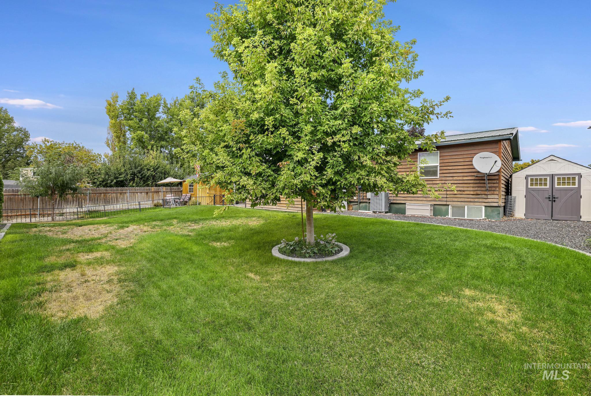 View of yard featuring a shed