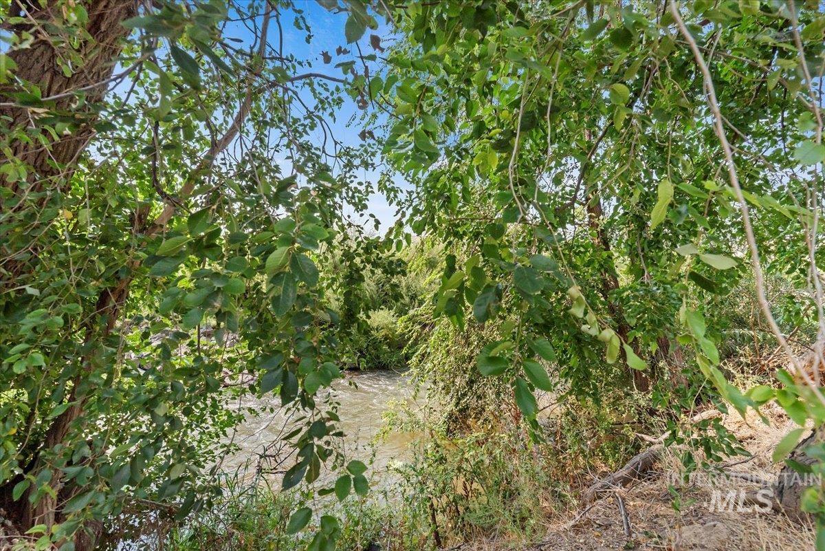 View of undeveloped land