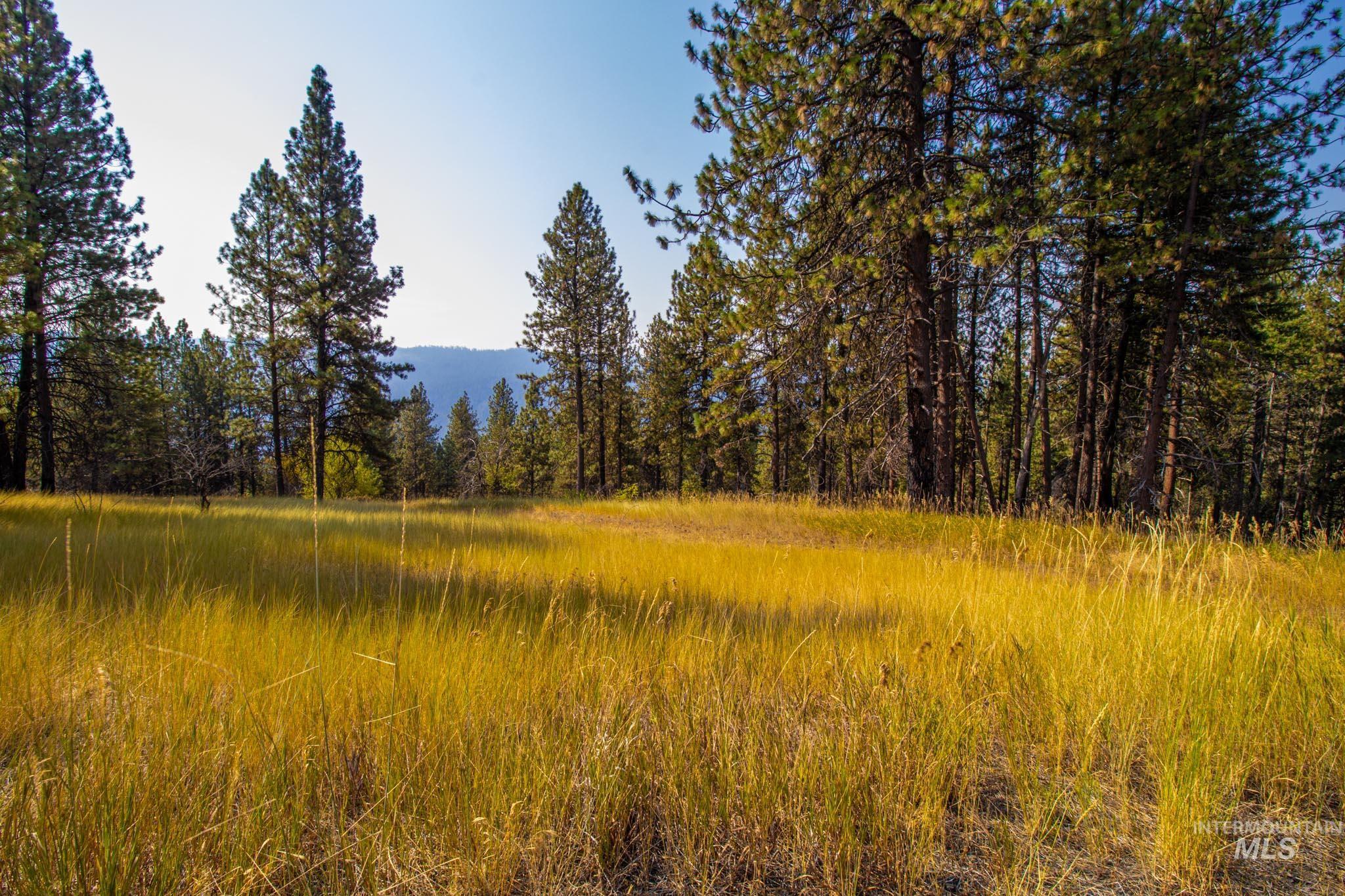0 Summitview Dr, Ahsahka, Idaho 83520, Land For Sale, Price $299,000, 98960651