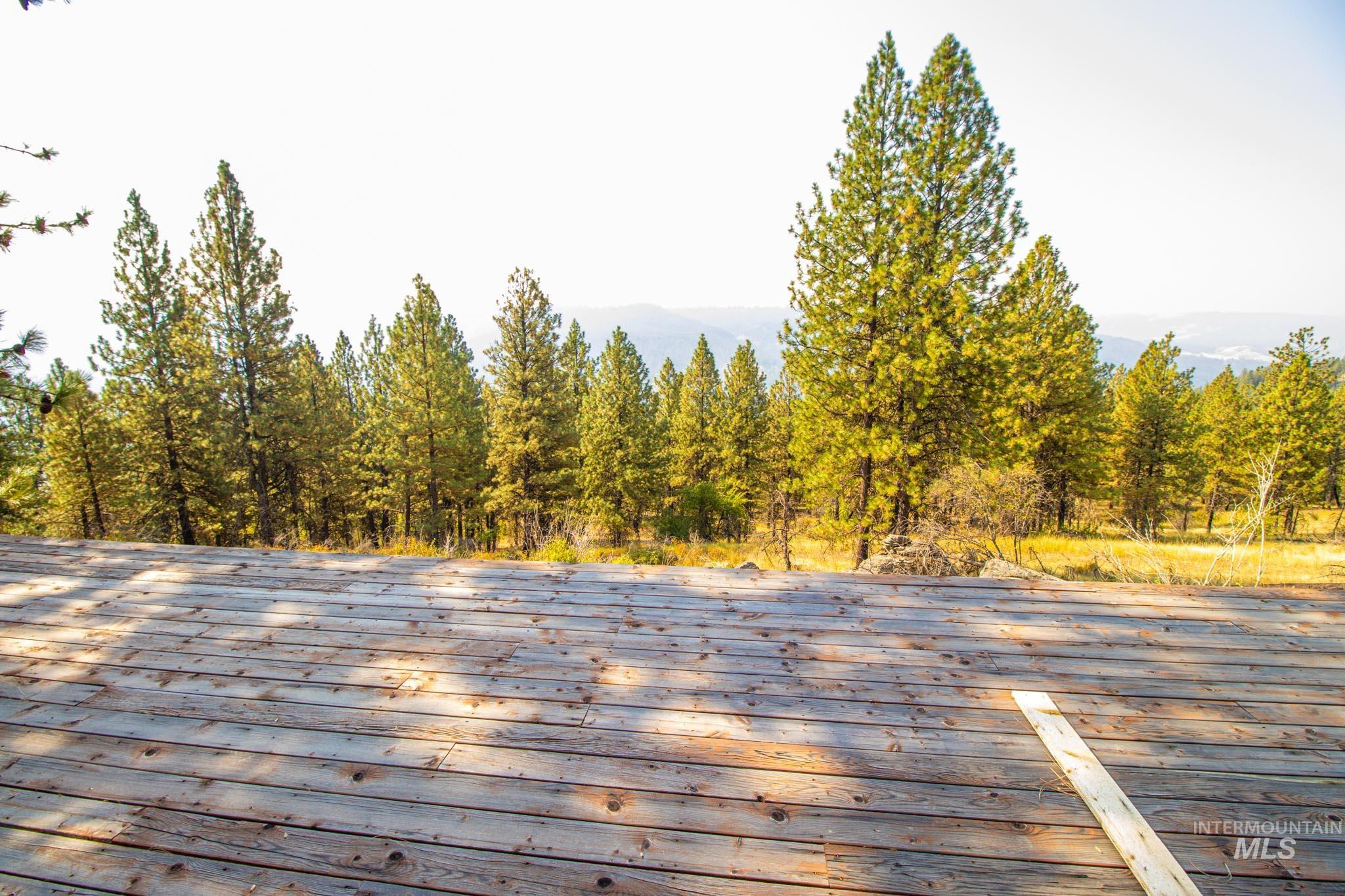 Exterior view of a forest