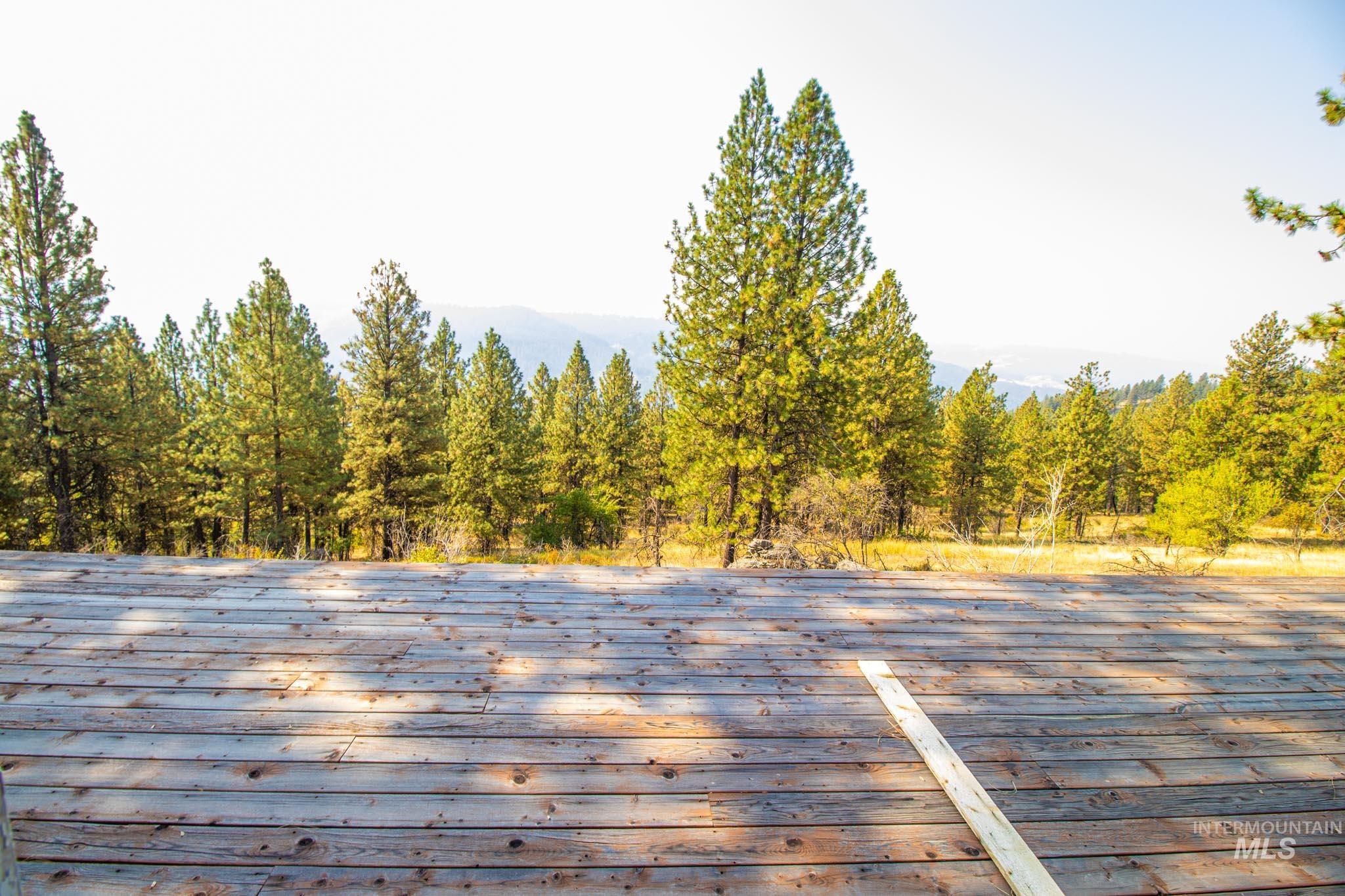 Exterior view of a forest