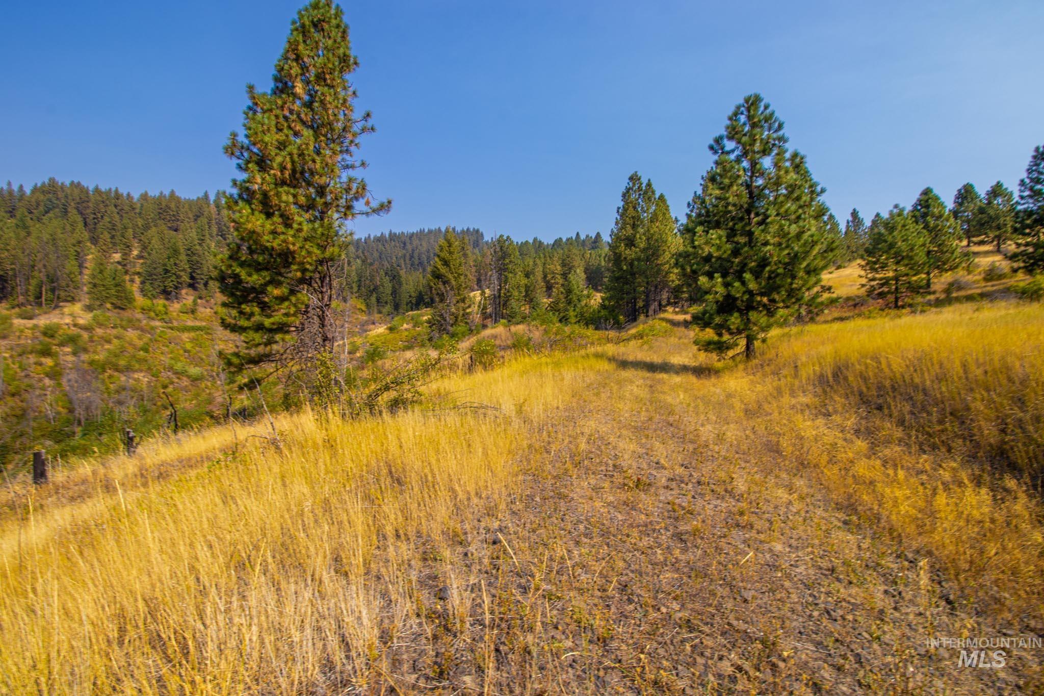 View of woods