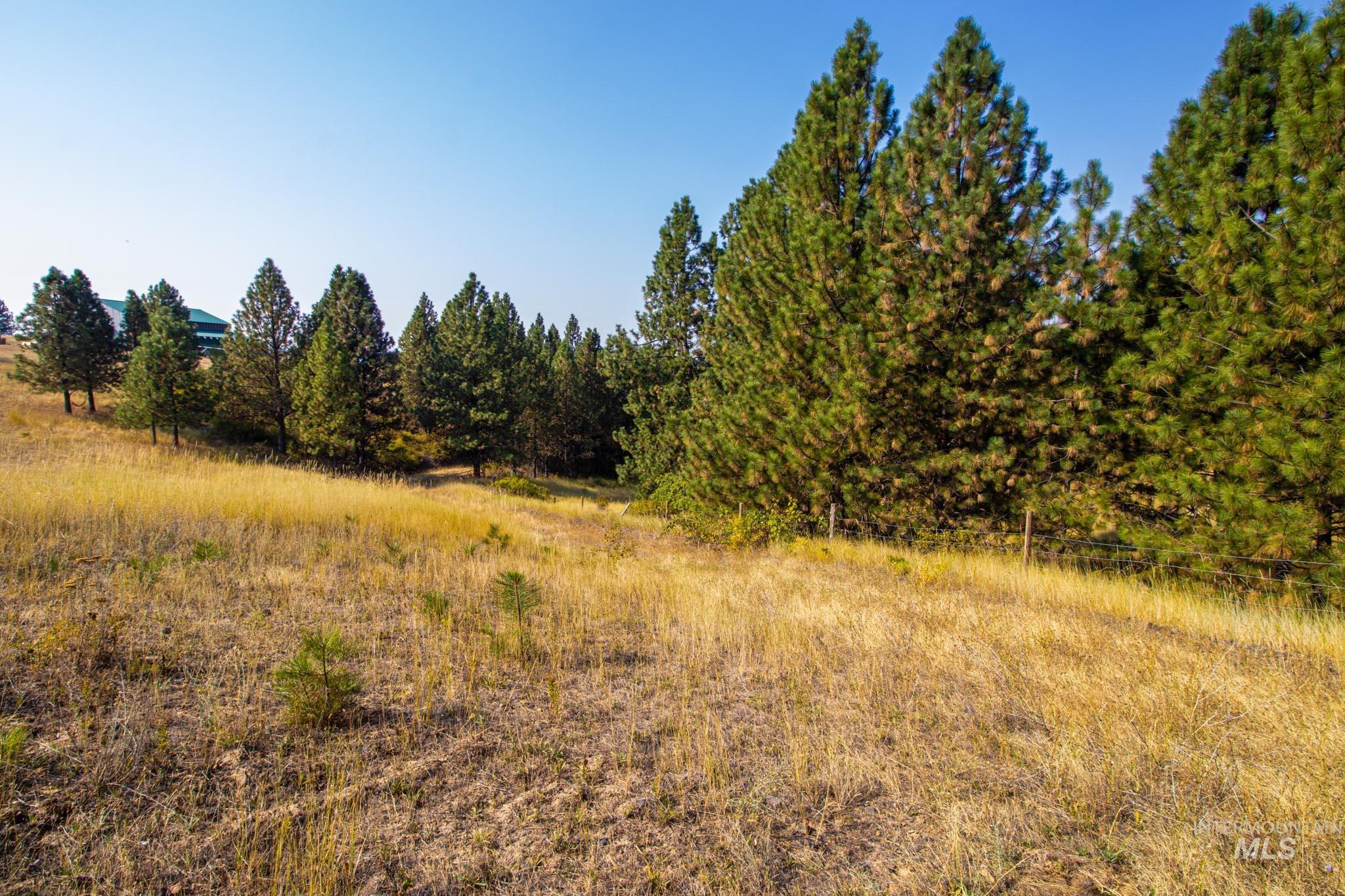 View of undeveloped land with rural landscape