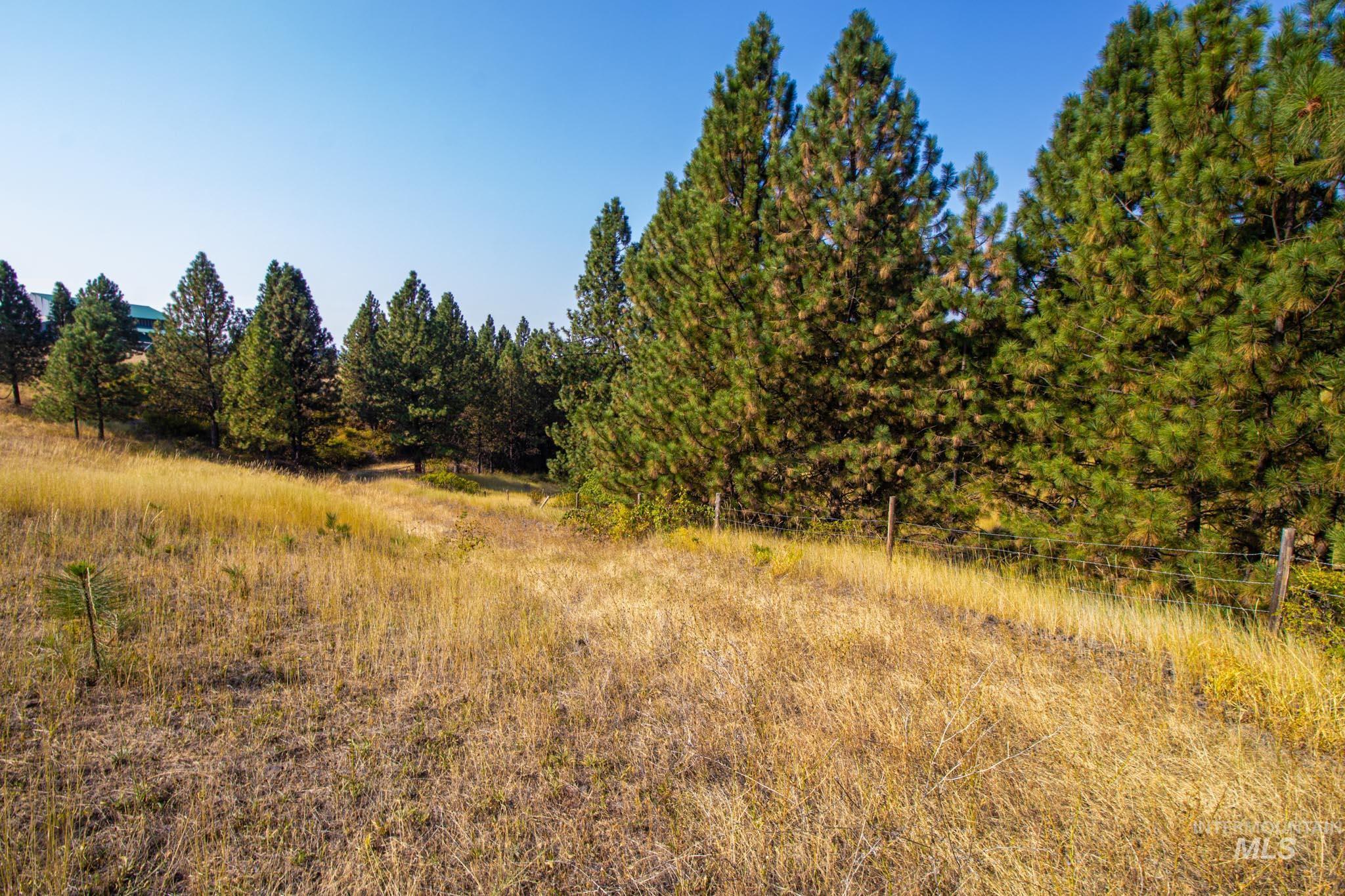 View of woods featuring a view of countryside