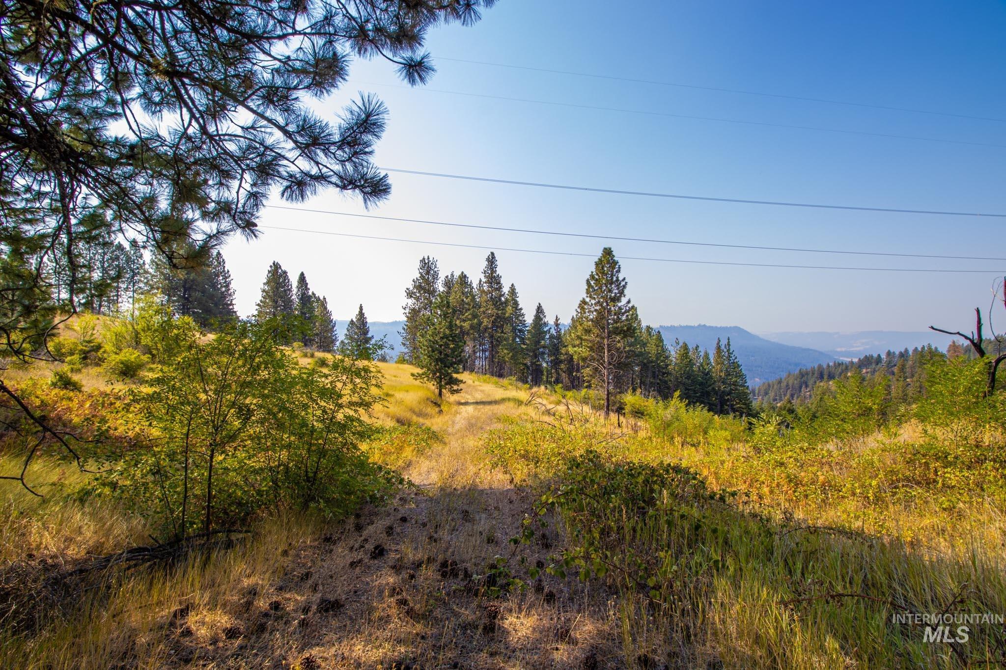 View of mountain background featuring a heavily wooded area
