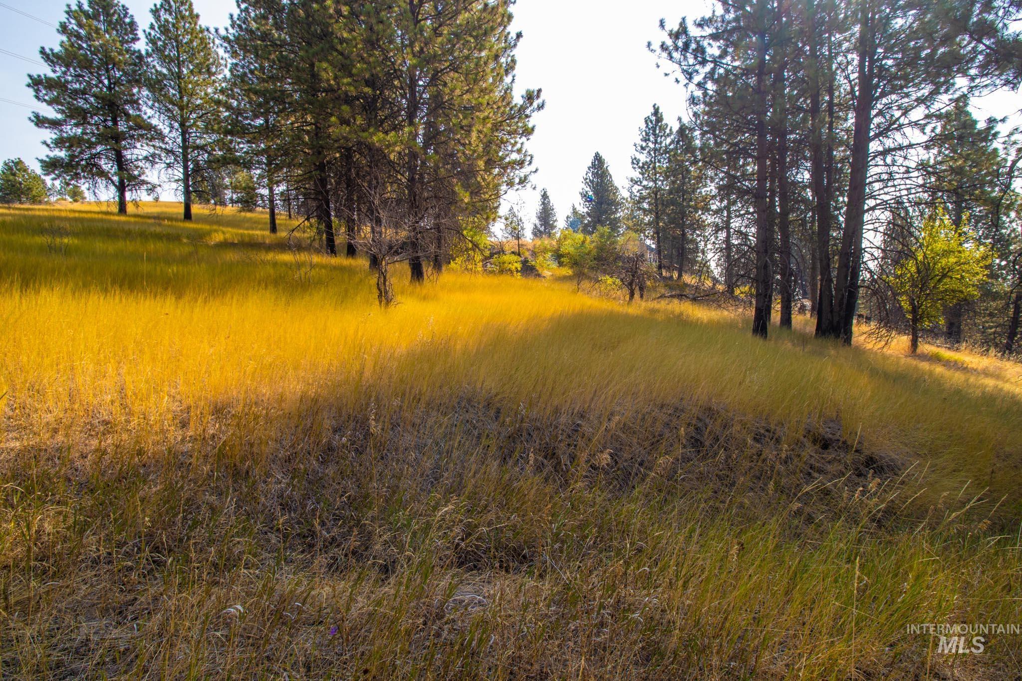View of undeveloped land