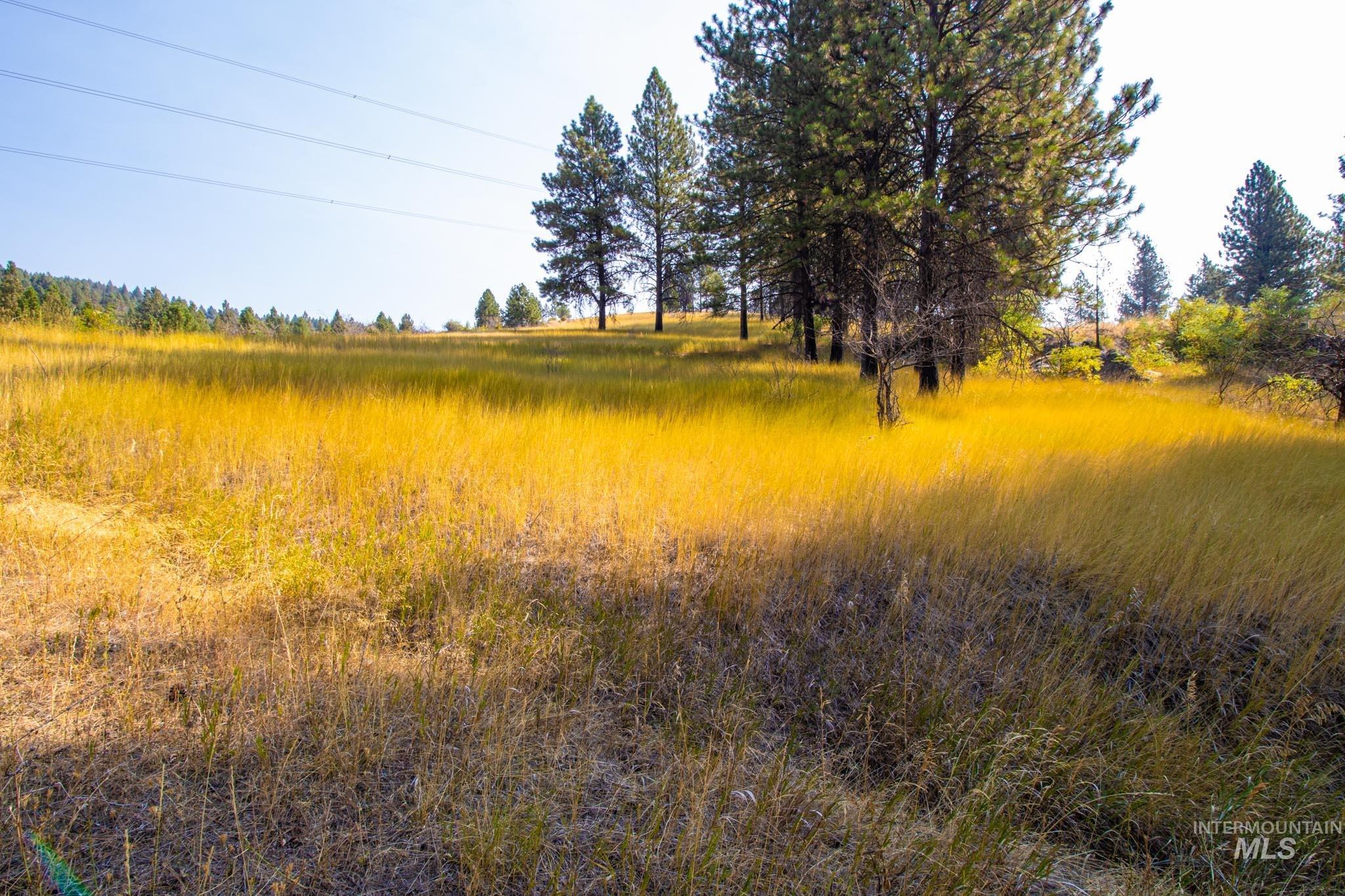 View of undeveloped land