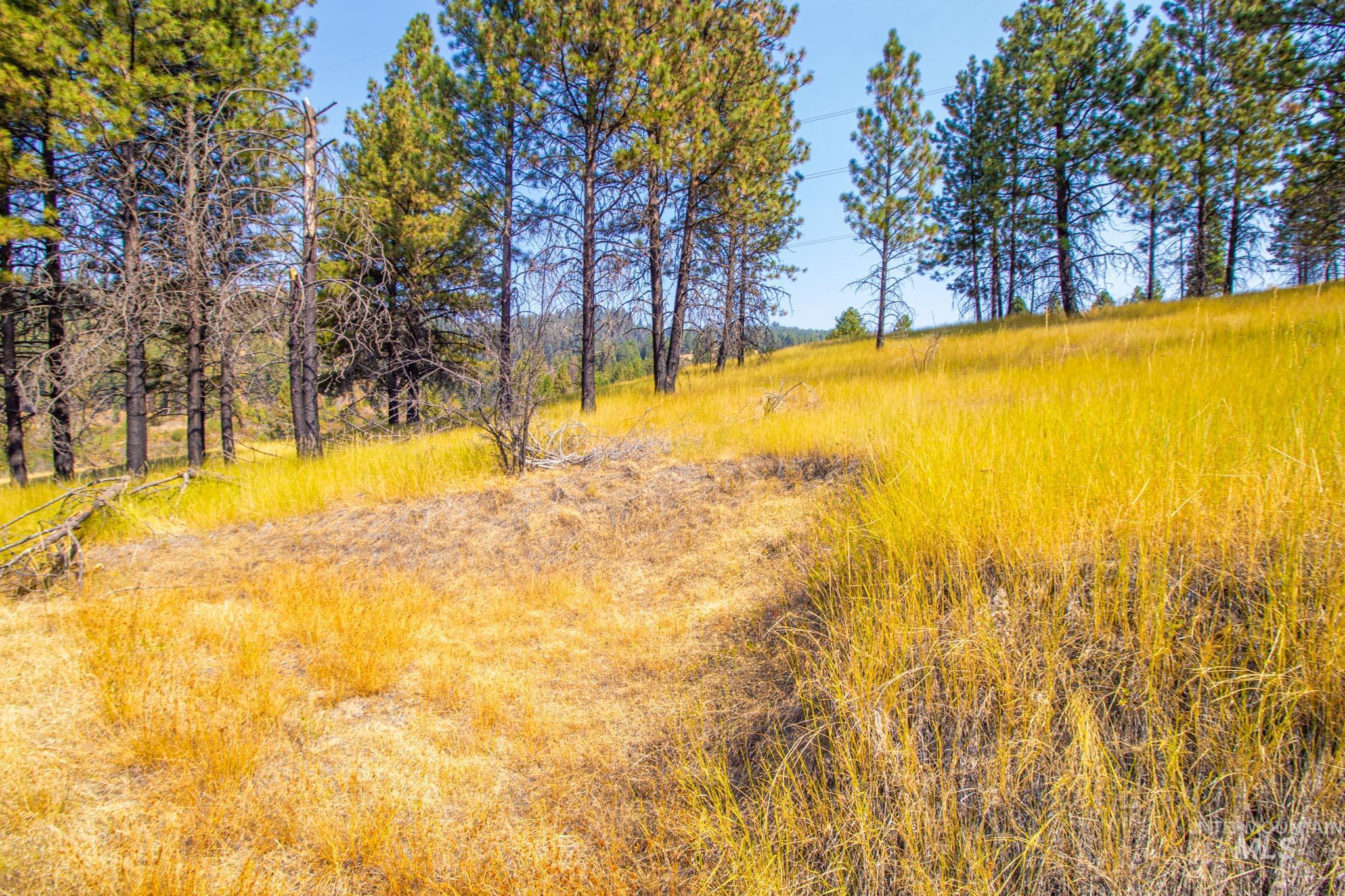 View of undeveloped land