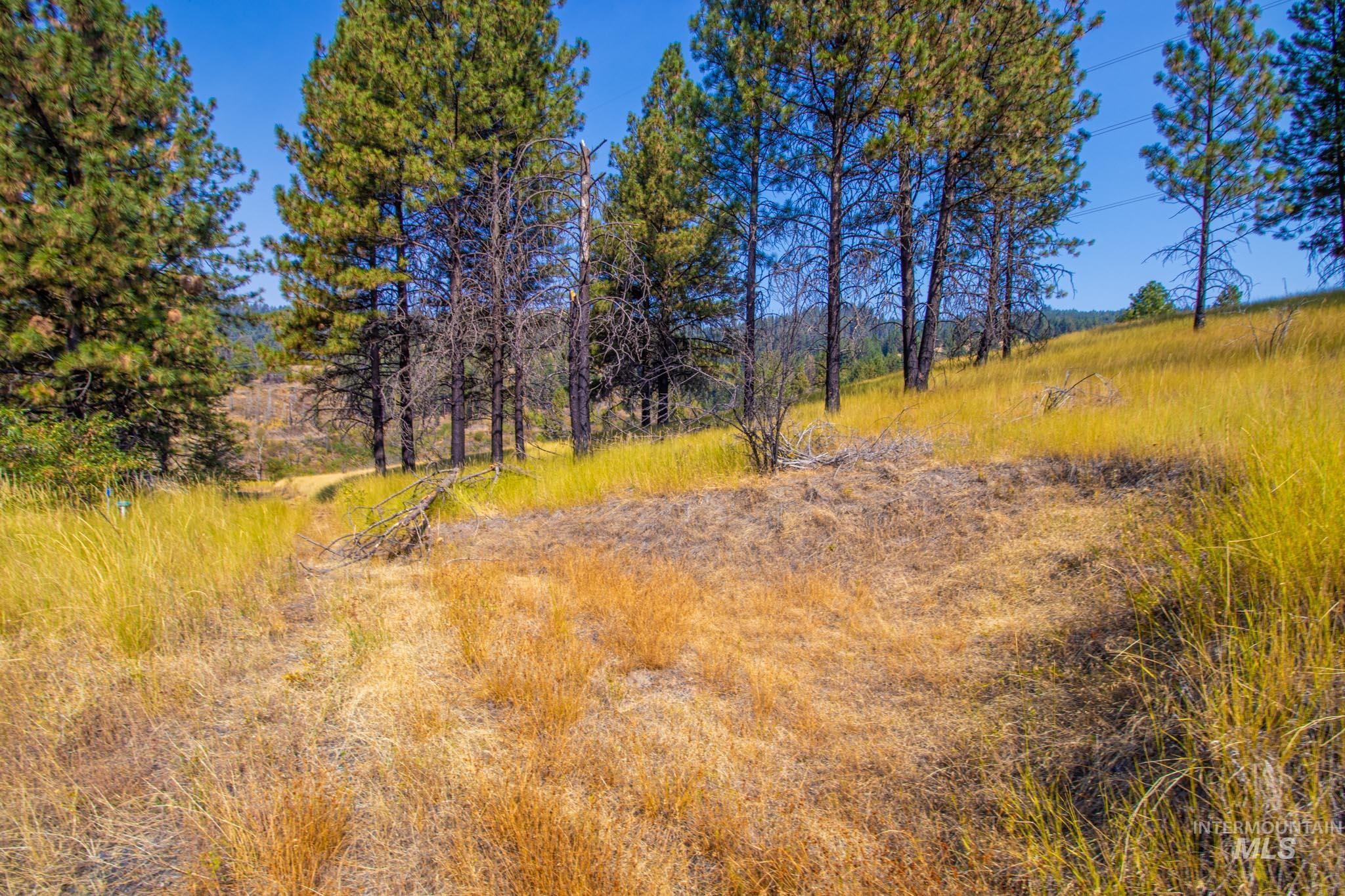 View of undeveloped land with rural landscape