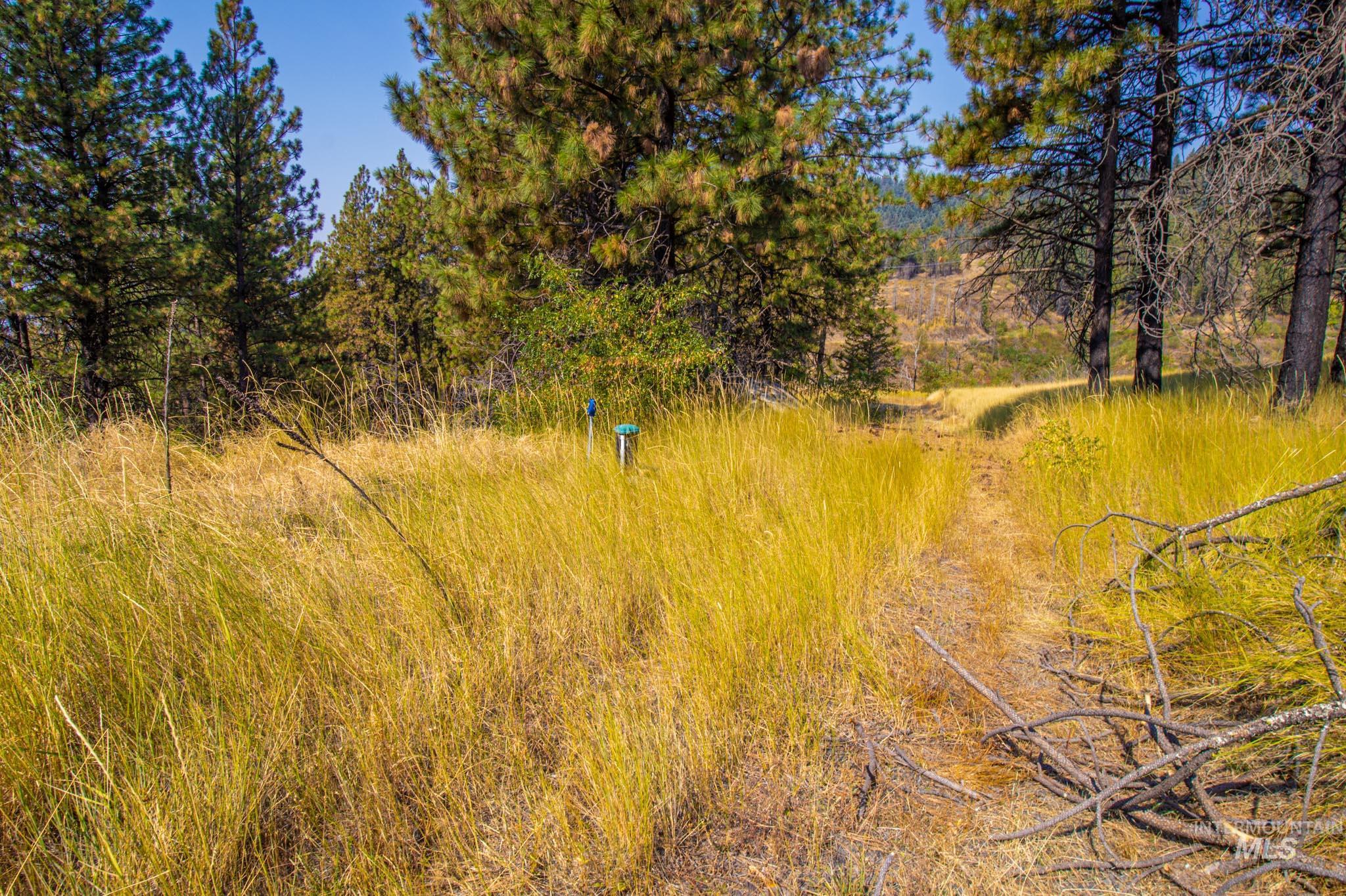 View of undeveloped land