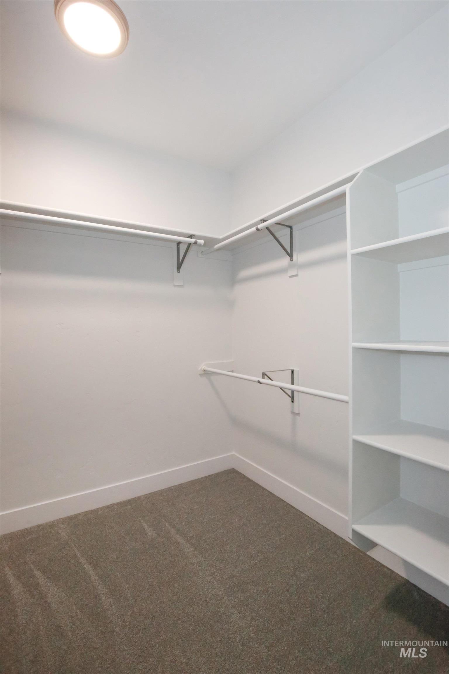 Walk in closet with dark carpet