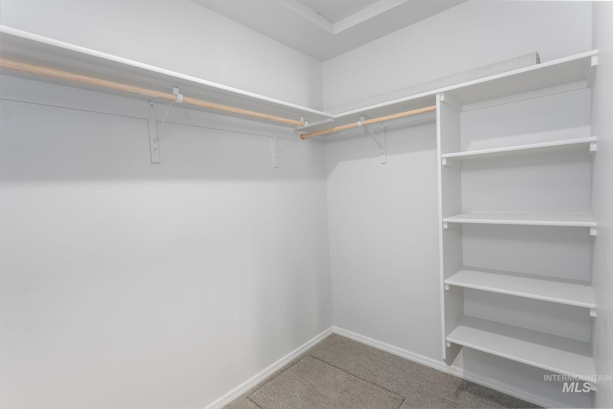 Walk in closet with light carpet