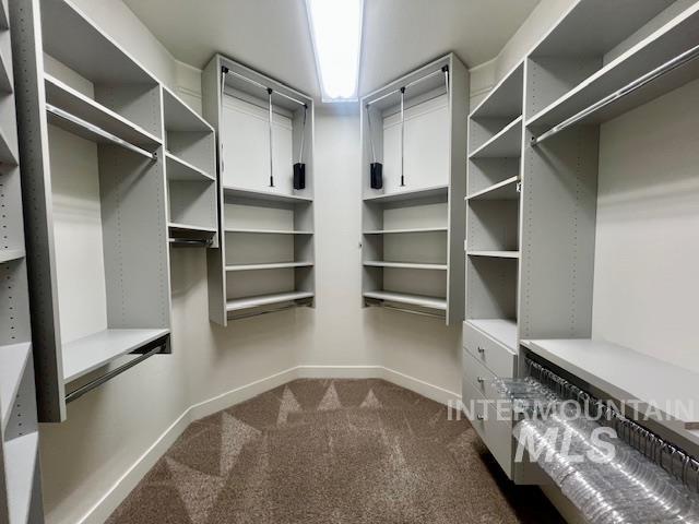 Walk in closet featuring dark carpet